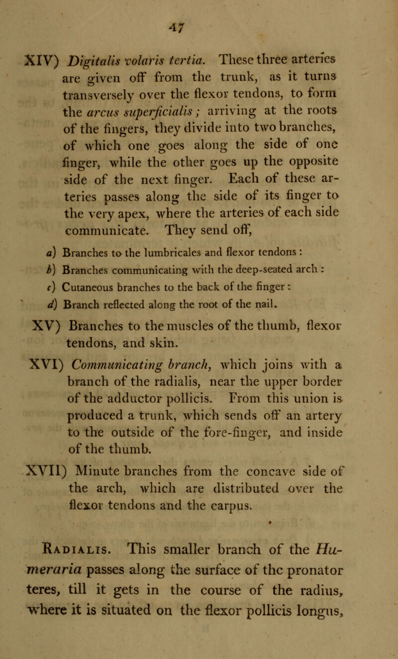 XIV) Digitalis Solaris tertia. These three arteries are given off from the trunk, as it turns transversely over the flexor tendons, to form the areas superficialis; arriving at the roots of the fingers, they divide into two branches, of which one goes along the side of one finger, while the other goes up the opposite side of the next ringer. Each of these ar- teries passes along the side of its finger to the very apex, where the arteries of each side communicate. They send off, a) Branches to the lumbricales and flexor tendons : b) Branches communicating with the deep-seated arch : c) Cutaneous branches to the back of the finger : d) Branch reflected along the root of the nail. XV) Branches to the muscles of the thumb, flexor tendons, and skin. XVI) Communicating branch, which joins with a branch of the radialis, near the upper border of the adductor pollicis. From this union is produced a trunk, which sends off an artery to the outside of the fore-finger, and inside of the thumb. XVII) Minute branches from the concave side of the arch, which are distributed over the flexor tendons and the carpus. Radialis. This smaller branch of the Hu- meraria passes along the surface of the pronator teres, till it gets in the course of the radius, where it is situated on the flexor pollicis longus,