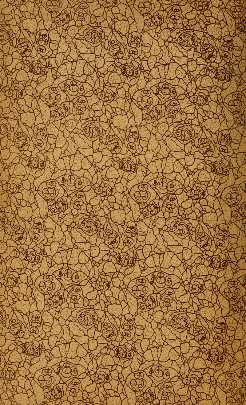 No text description is available for this image