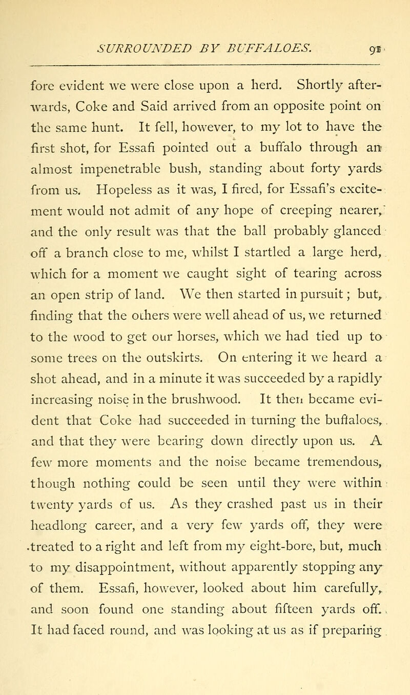 fore evident we were close upon a herd. Shortly after- wards, Coke and Said arrived from an opposite point on the same hunt. It fell, however, to my lot to have the first shot, for Essafi pointed out a buffalo through an almost impenetrable bush, standing about forty yards from us. Hopeless as it was, I fired, for Essafi's excite- ment would not admit of any hope of creeping nearer, and the only result was that the ball probably glanced off a branch close to me, whilst I startled a large herd, which for a moment we caught sight of tearing across an open strip of land. We then started in pursuit; but,, finding that the others were well ahead of us, we returned to the wood to get our horses, which we had tied up to some trees on the outskirts. On entering it we heard a shot ahead, and in a minute it was succeeded by a rapidly increasing noise in the brushwood. It then became evi- dent that Coke had succeeded in turning the buftaloesr and that they were bearing down directly upon us. A few more moments and the noise became tremendous, though nothing could be seen until they were within twenty yards of us. As they crashed past us in their headlong career, and a very few yards off, they were •treated to a right and left from my eight-bore, but, much to my disappointment, without apparently stopping z\\y of them. Essafi, however, looked about him carefully^ and soon found one standing about fifteen yards off., It had faced round, and was looking at us as if preparing