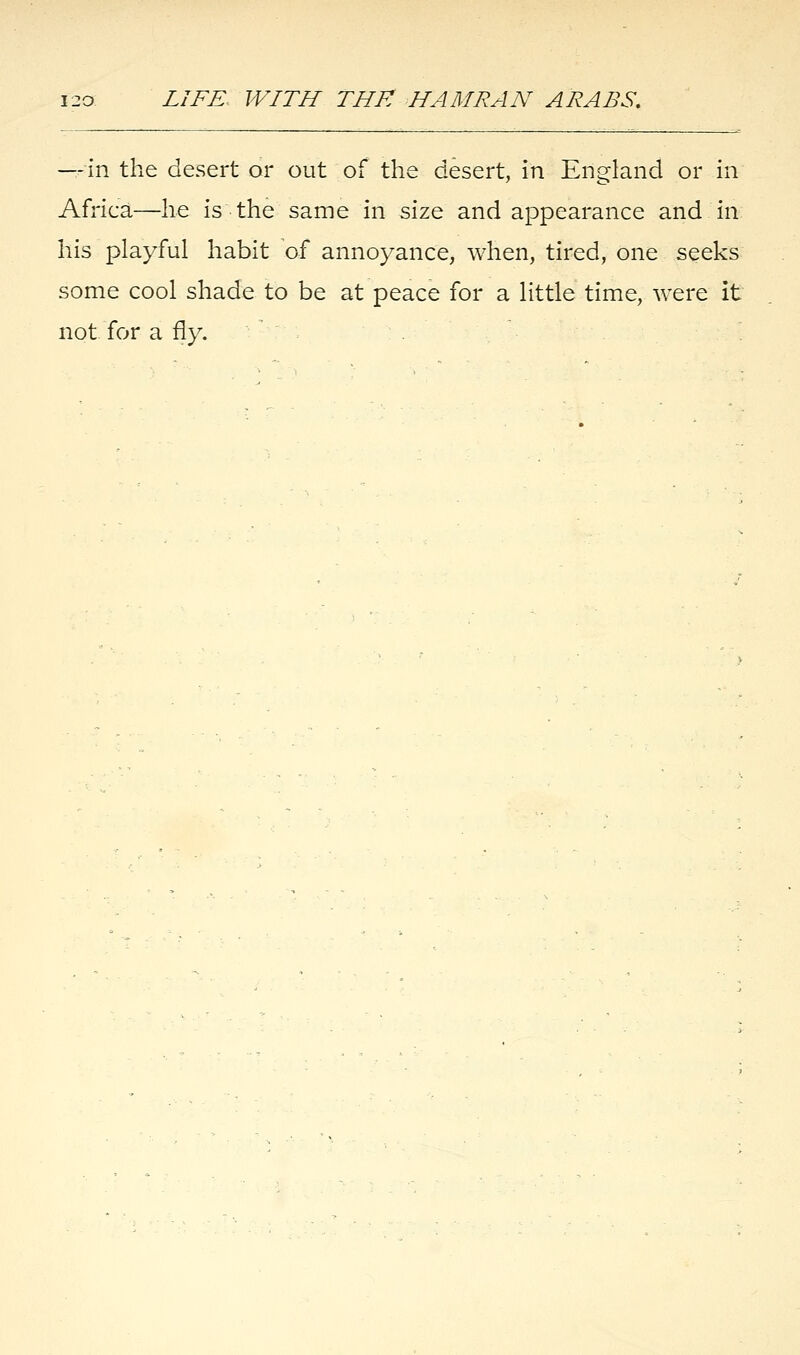 — in the desert or out of the desert, in England or in Africa—he is the same in size and appearance and in his playful habit of annoyance, when, tired, one seeks some cool shade to be at peace for a little time, were it not for a fly.