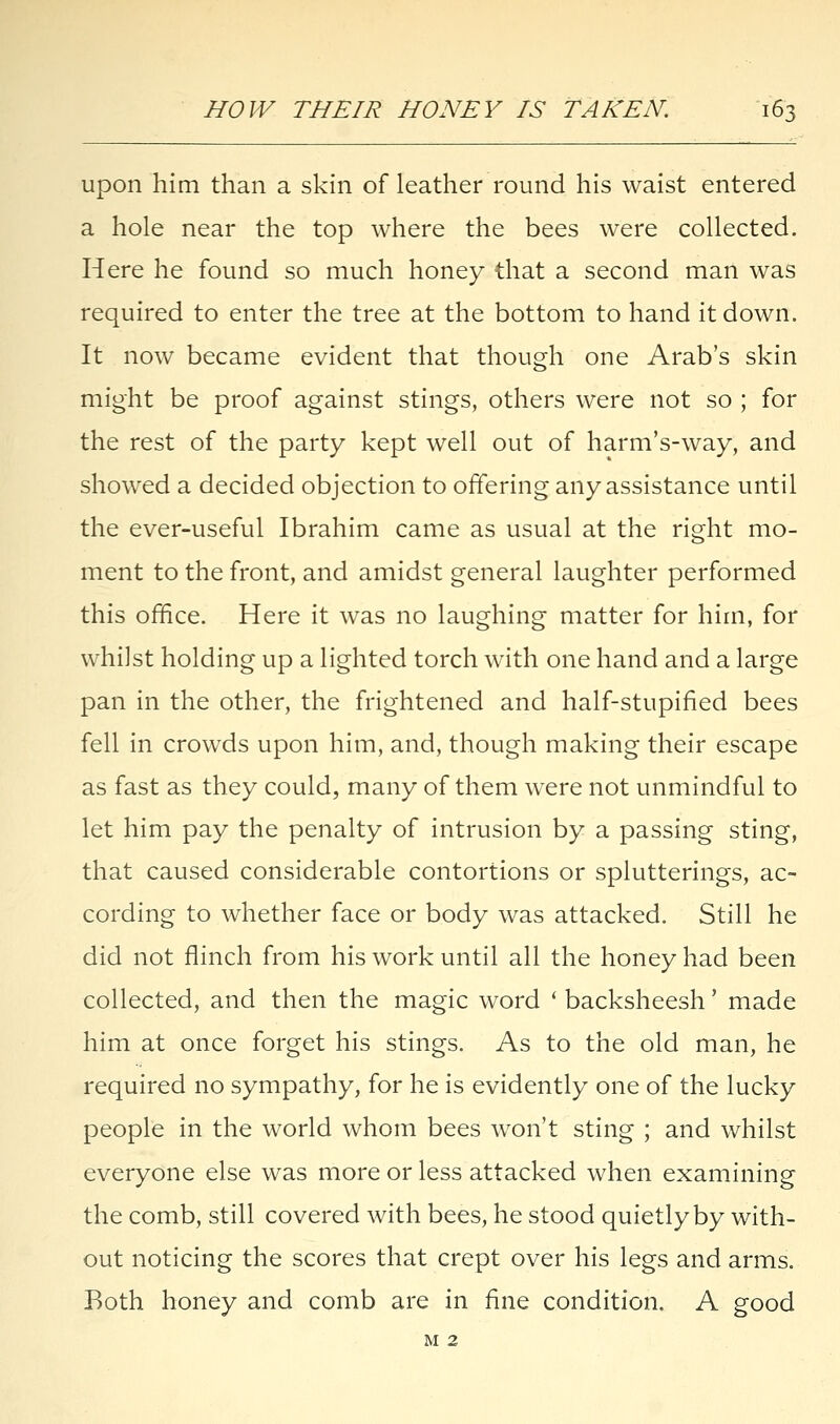 upon him than a skin of leather round his waist entered a hole near the top where the bees were collected. Here he found so much honey that a second man was required to enter the tree at the bottom to hand it down. It now became evident that though one Arab's skin might be proof against stings, others were not so ; for the rest of the party kept well out of harm's-way, and showed a decided objection to offering any assistance until the ever-useful Ibrahim came as usual at the right mo- ment to the front, and amidst general laughter performed this office. Here it was no laughing matter for him, for whilst holding up a lighted torch with one hand and a large pan in the other, the frightened and half-stupified bees fell in crowds upon him, and, though making their escape as fast as they could, many of them were not unmindful to let him pay the penalty of intrusion by a passing sting, that caused considerable contortions or splutterings, ac- cording to whether face or body was attacked. Still he did not flinch from his work until all the honey had been collected, and then the magic word ' backsheesh' made him at once forget his stings. As to the old man, he required no sympathy, for he is evidently one of the lucky people in the world whom bees won't sting ; and whilst everyone else was more or less attacked when examining the comb, still covered with bees, he stood quietly by with- out noticing the scores that crept over his legs and arms. Both honey and comb are in fine condition. A good M 2