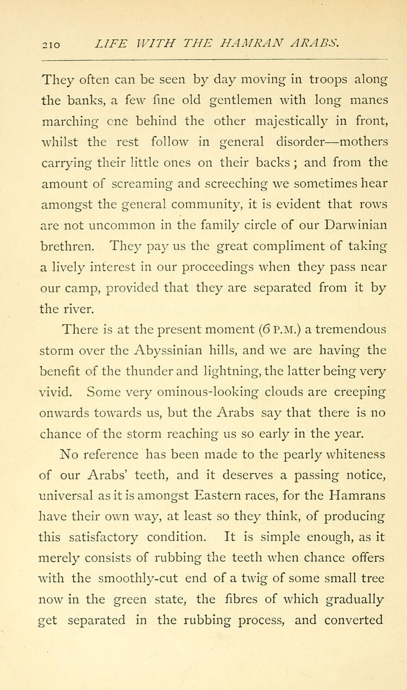 They often can be seen by day moving in troops along the banks, a few fine old gentlemen with long manes marching one behind the other majestically in front, whilst the rest follow in general disorder—mothers carrying their little ones on their backs ; and from the amount of screaming and screeching we sometimes hear amongst the general community, it is evident that rows are not uncommon in the family circle of our Darwinian brethren. They pay us the great compliment of taking a lively interest in our proceedings when they pass near our camp, provided that they are separated from it by the river. There is at the present moment (6 P.M.) a tremendous storm over the Abyssinian hills, and we are having the benefit of the thunder and lightning, the latter being very vivid. Some very ominous-looking clouds are creeping onwards towards us, but the Arabs say that there is no chance of the storm reaching us so early in the year. No reference has been made to the pearly whiteness of our Arabs' teeth, and it deserves a passing notice, universal as it is amongst Eastern races, for the Hamrans have their own way, at least so they think, of producing this satisfactory condition. It is simple enough, as it merely consists of rubbing the teeth when chance offers with the smoothly-cut end of a twig of some small tree now in the green state, the fibres of which gradually get separated in the rubbing process, and converted