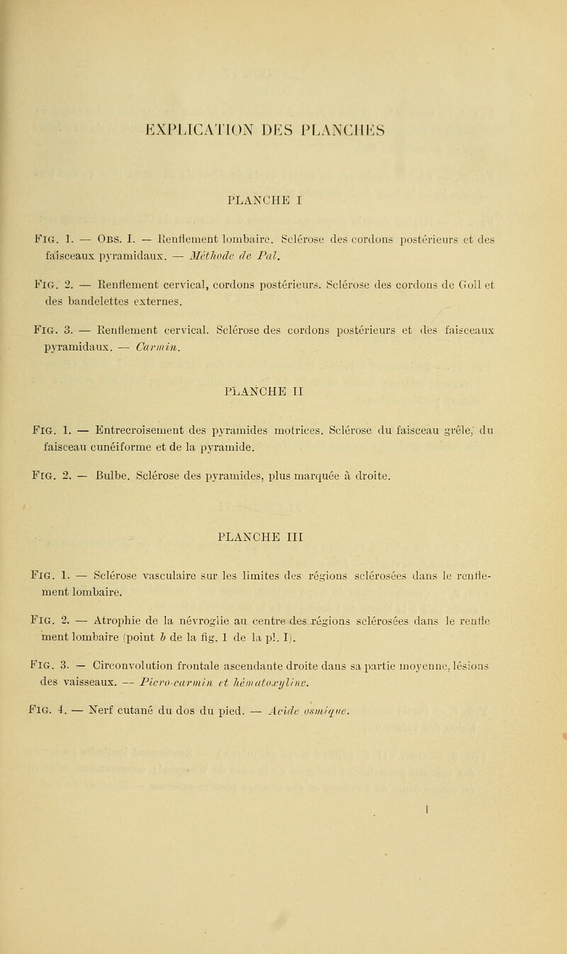 EXPLICATION DES PLANCHES PLANCHE I FiG. 1. — Obs. I. — lïenflement lombaire. Sclérose des cordons postérieurs et des faisceaux pyramidaux. — Mètliocle de Pal. FiG. 2. — Renflement cervical, cordons postérieurs. Sclérose des cordons de GoU et des bandelettes externes. FiG. 3. — Renflement cervical. Sclérose des cordons postérieurs et des faisceaux pyramidaux. — Carmin. PLANCHE II FiG. 1. — Entrecroisement des pyramides motrices. Sclérose du faisceau grêle; du faisceau cunéiforme et de la pyramide. Feg. 2. — Bulbe. Sclérose des i^yramides, plus marquée à droite. PLANCHE III Fig. 1. — Sclérose vasculaire sur les limites des régions sclérosées dans le renfle- ment lombaire. Fig. 2. — Atrophie de la névroglie au centre des régions sclérosées dans le renfle ment lombaire (point h de la fig. 1 de la pi. I). Fig. 3. — Circonvolution frontale ascendante droite dans sa partie moyenne, lésions des vaisseaux. — Plcro-carmin et héntato.fylinc. FlG. 4. — Nerf cutané du dos du pied. — Acide osmJiiiie.