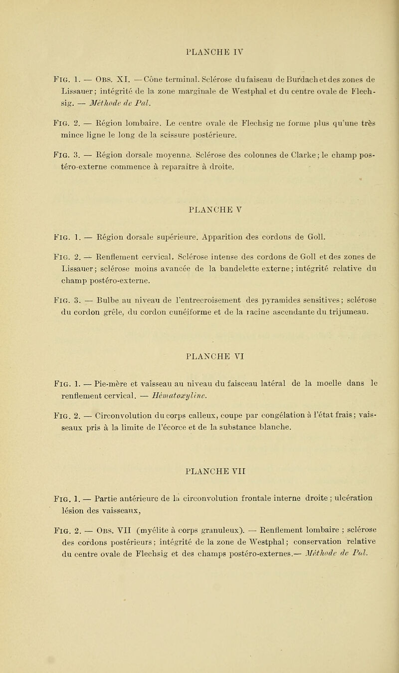 FlG. 1. — Obs. XI. —Cône terminal. Sclérose dufaiseau de Burdaclietdes zones de Lissauer; intégrité de la zone marginale de Westphal et du centre ovale de Fleoh- sig. — Métlioile de Pal. FiG. 2. — Région lombaire. Le centre ovale de Fleclisig ne forme plus qu'une très mince ligne le long de la scissure postérieure. FiG. 3. — Région dorsale moyenne. Sclérose des colonnes deClarkejle champ pos- téro-esterne commence à reparaître à droite. PLANCHE V FiG. 1. — Région dorsale supérieure. A^sparition des cordons de GoU. FiG. 2. — Renflement cervical. Sclérose intense des cordons de Goll et des zones de Lissauer ; sclérose moins avancée de la bandelette externe ; intégrité relative du champ postéro-externe. FiG. 3. — Bulbe au niveau de l'entrecroisement des pyramides sensitives; sclérose du cordon grêle, du cordon cunéiforme et de la racine ascendante du trijumeau. PLANCHE VI FiG. 1. — Pie-mère et vaisseau au niveau du faisceau latéral de la moelle dans le renflement cervical. — Hématoxyline. FiG. 2. — Circonvolution du corps calleux, coupe par congélation à l'état frais; vais- seaux pris à la limite de l'écorce et de la substance blanche. PLANCHE VII FiG. 1. — Partie antérieure de lu circonvolution frontale interne droite ; ulcération lésion des vaisseaux, FiG. 2. — Obs. VII (myélite à corps granuleux). — Renflement lombaire ; sclérose des cordons postérieurs ; intégrité de la zone de Westphal ; conservation relative du centre ovale de Flechsig et des champs postéro-externes.— Méthode de Pùl.