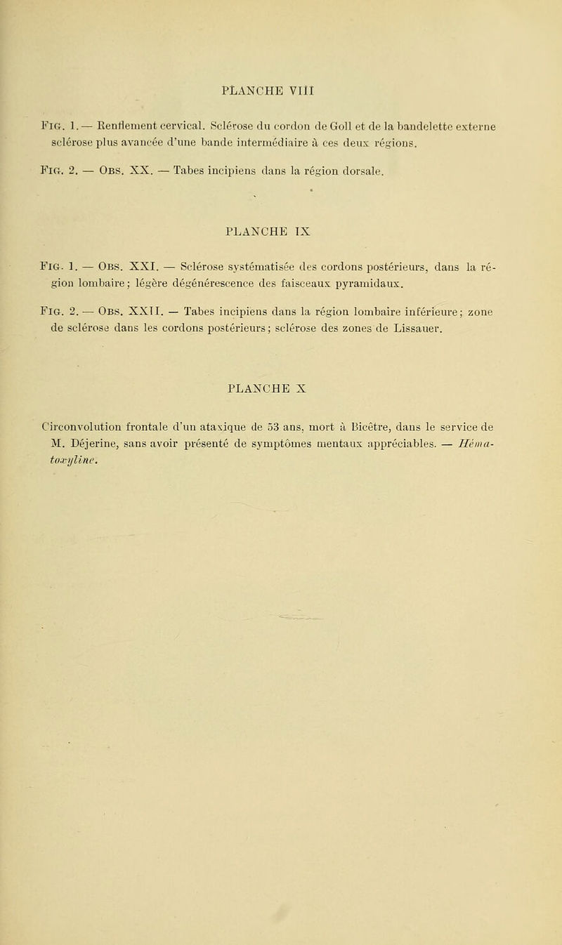 PLANCHE VllI FiG. 1. — Eentienient cervical. Sclérose du cordon de GoU et de la bandelette externe sclérose plus avancée d'une bande intermédiaire à ces deux régions. FlCr. 2. — Obs. XX. — Tabès incipiens dans la région dorsale. PLANCHE IX FiG- 1. — Obs. XXI. — Sclérose systématisée des cordons postérieurs, dans la ré- gion lombaire ; légère dégénérescence des faisceaux pyramidaux. FiG. 2. — Obs. XXII. — Tabès incipiens dans la région lombaire inférieure; zone de sclérose dans les cordons postérieurs; sclérose des zones de Lissauer. PLANCHE X Circonvolution frontale d'un atasique de 53 ans, mort à Bicêtre, dans le service de M. Déjerine, sans avoir présenté de symptômes mentaux appréciables. — Héma- toxyline.