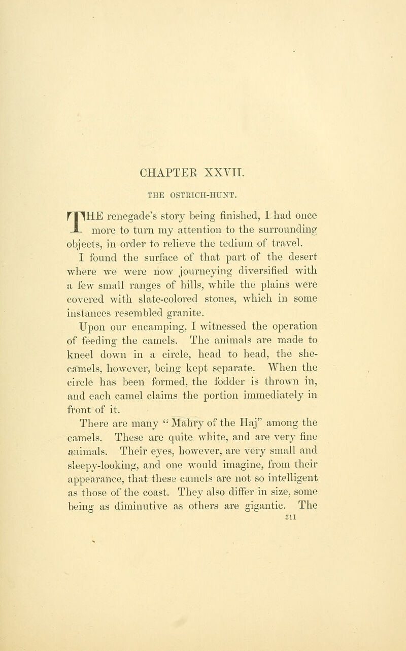 CHAPTER XXVII. THE OSTRICH-HUNT. THE renegade's story being finished, I had once more to turn my attention to the surrounding objects, in order to relieve the tedium of traveL I found the surface of that part of the desert where we were now journeying diversified with a few small ranges of hills, while the plains were covered with slate-colored stones, which in some instances resembled granite. Upon our encamping, I witnessed the operation of feeding the camels. The animals are made to kneel down in a circle, head to head, the she- camels, however, being kept separate. When the circle has been formed, the fodder is thrown in, and each camel claims the portion immediately in front of it. There are many '• Mahry of the Haj among the camels. These are quite white, and are very fine animals. Their eyes, however, are very small and sleepy-looking, and one would imagine, from their appearance, that these camels are not so intelligent as those of the coast. They also differ in size, some being as diminutive as others are gigantic. The