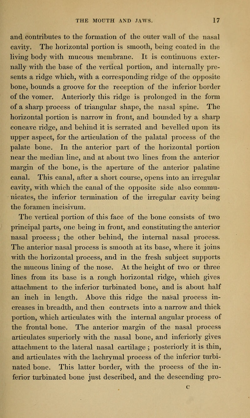 and contributes to the formation of the outer wall of the nasal cavity. The horizontal portion is smooth, being coated in the living body with mucous membrane. It is continuous exter- nally with the base of the vertical portion, and internally pre- sents a ridge which, with a corresponding ridge of the opposite bone, bounds a groove for the reception of the inferior border of the vomer. Anteriorly this ridge is prolonged in the form of a sharp process of triangular shape, the nasal spine. The horizontal portion is narrow in front, and bounded by a sharp concave ridge, and behind it is serrated and bevelled upon its upper aspect, for the articulation of the palatal process of the palate bone. In the anterior part of the horizontal portion near the median line, and at about two lines from the anterior margin of the bone, is the aperture of the anterior palatine canal. This canal, after a short course, opens into an irregular cavity, with which the canal of the opposite side also commu- nicates, the inferior termination of the irregular cavity being the foramen incisivum. The vertical portion of this face of the bone consists of two principal parts, one being in front, and constituting the anterior nasal process; the other behind, the internal nasal process. The anterior nasal process is smooth at its base, where it joins with the horizontal process, and in the fresh subject supports the mucous lining of the nose. At the height of two or three lines from its base is a rough horizontal ridge, which gives attachment to the inferior turbinated bone, and is about half an inch in length. Above this ridge the nasal process in- creases in breadth, and then contracts into a narrow and thick portion, which articulates with the internal angular process of the frontal bone. The anterior margin of the nasal process articulates superiorly with the nasal bone, and inferiorly gives attachment to the lateral nasal cartilage ; posteriorly it is thin, and articulates with the lachrymal process of the inferior turbi- nated bone. This latter border, with the process of the in- ferior turbinated bone just described, and the descending pro- c