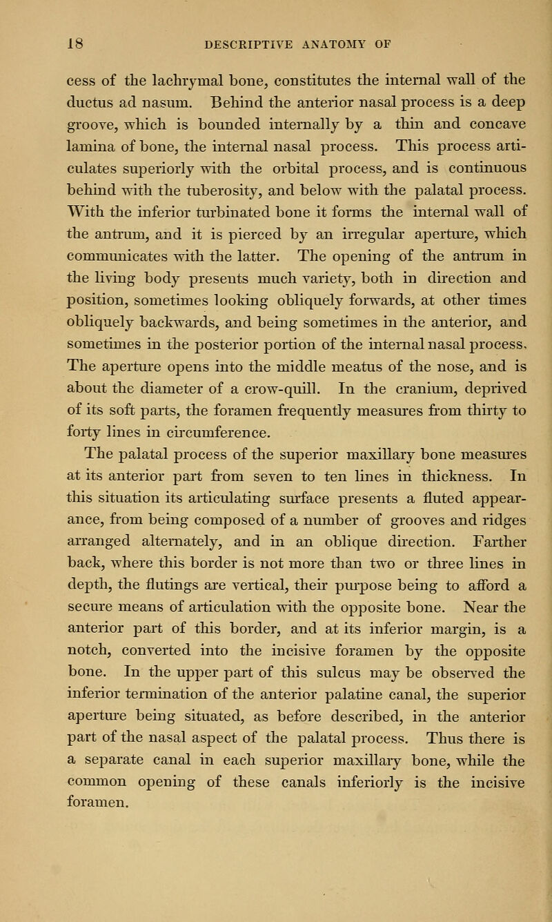 cess of the lachrymal bone, constitutes the internal wall of the ductus ad nasuni. Behind the anterior nasal process is a deep groove, which is bounded internally by a thin and concave lamina of bone, the internal nasal process. This process arti- culates superiorly with the orbital process, and is continuous behind with the tuberosity, and below with the palatal process. With the inferior turbinated bone it forms the internal wall of the antrum, and it is pierced by an irregular aperture, which communicates with the latter. The opening of the antrum in the living body presents much variety, both in direction and position, sometimes looking obliquely forwards, at other times obliquely backwards, and being sometimes in the anterior, and sometimes in the posterior portion of the internal nasal process, The aperture opens into the middle meatus of the nose, and is about the diameter of a crow-quill. In the cranium, deprived of its soft parts, the foramen frequently measures from thirty to forty lines in circumference. The palatal process of the superior maxillary bone measures at its anterior part from seven to ten lines in thickness. In this situation its articulating surface presents a fluted appear- ance, from being composed of a number of grooves and ridges arranged alternately, and in an oblique direction. Farther back, where this border is not more than two or three lines in depth, the flutings are vertical, then purpose being to afford a secure means of articulation with the opposite bone. Near the anterior part of this border, and at its inferior margin, is a notch, converted into the incisive foramen by the opposite bone. In the upper part of this sulcus may be observed the inferior termination of the anterior palatine canal, the superior aperture being situated, as before described, in the anterior part of the nasal aspect of the palatal process. Thus there is a separate canal in each superior maxillary bone, while the common opening of these canals inferiorly is the incisive foramen.