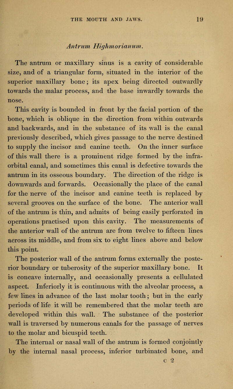 Antrum Highmorianum. The antrum or maxillary sinus is a cavity of considerable size, and of a triangular form, situated in the interior of the superior maxillary bone; its apex being directed outwardly towards the malar process, and the base inwardly towards the nose. This cavity is bounded in front by the facial portion of the bone, which is oblique in the direction from within outwards and backwards, and in the substance of its wall is the canal previously described, which gives passage to the nerve destined to supply the incisor and canine teeth. On the inner surface of this wall there is a prominent ridge formed by the infra- orbital canal, and sometimes this canal is defective towards the antrum in its osseous boundary. The direction of the ridge is downwards and forwards. Occasionally the place of the canal for the nerve of the incisor and canine teeth is replaced by several grooves on the surface of the bone. The anterior wall of the antrum is thin, and admits of being easily perforated in operations practised upon this cavity. The measurements of the anterior wall of the antrum are from twelve to fifteen lines across its middle, and from six to eight lines above and below this point. The posterior wall of the antrum forms externally the poste- rior boundary or tuberosity of the superior maxillary bone. It is concave internally, and occasionally presents a cellulated aspect. Inferiorly it is continuous with the alveolar process, a few lines in advance of the last molar tooth; but in the early periods of life it will be remembered that the molar teeth are developed within this wall. The substance of the posterior wall is traversed by numerous canals for the passage of nerves to the molar and bicuspid teeth. The internal or nasal wall of the antrum is formed conjointly by the internal nasal process, inferior turbinated bone, and