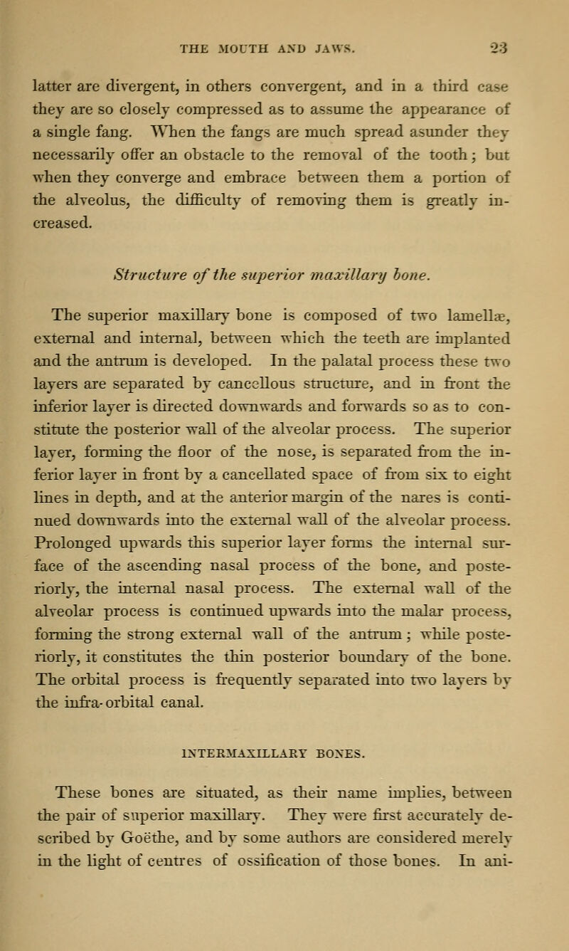 latter are divergent, in others convergent, and in a third c they are so closely compressed as to assume the appearance of a single fang. When the fangs are much spread asunder they necessarily offer an obstacle to the removal of the tooth; but when they converge and embrace between them a portion of the alveolus, the difficulty of removing them is greatly in- creased. Structure of the superior maxillary bone. The superior maxillary bone is composed of two lamellae, external and internal, between which the teeth are implanted and the antrum is developed. In the palatal process these two layers are separated by cancellous structure, and in front the inferior layer is directed downwards and forwards so as to con- stitute the posterior wall of the alveolar process. The superior layer, forming the floor of the nose, is separated from the in- ferior layer in front by a cancellated space of from six to eight lines in depth, and at the anterior margin of the nares is conti- nued downwards into the external wall of the alveolar process. Prolonged upwards this superior layer forms the internal sur- face of the ascending nasal process of the bone, and poste- riorly, the internal nasal process. The external wall of the alveolar process is continued upwards into the malar process, forming the strong external wall of the antrum; while poste- riorly, it constitutes the thin posterior boundary of the bone. The orbital process is frequently separated into two layers by the infra- orbital canal. INTERMAXILLARY BOXES. These bones are situated, as their name implies, between the pair of superior maxillary. They were first accurately de- scribed by Goethe, and by some authors are considered merely in the light of centres of ossification of those bones. In ani-