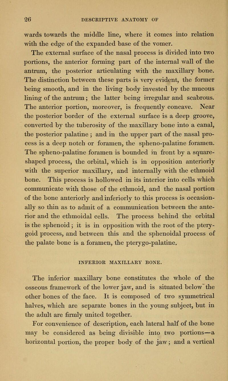 wards towards the middle line, where it comes into relation with the edge of the expanded base of the vomer. The external surface of the nasal process is divided into two portions, the anterior forming part of the internal wall of the antrum, the posterior articulating with the maxillary bone. The distinction between these parts is very evident, the former being smooth, and in the living body invested by the mucous lining of the antrum; the latter being irregular and scabrous. The anterior portion, moreover, is frequently concave. Near the posterior border of the external surface is a deep groove, converted by the tuberosity of the maxillary bone into a canal, the posterior palatine ; and in the upper part of the nasal pro- cess is a deep notch or foramen, the spheno-palatine foramen. The spheno-palatine foramen is bounded in front by a square- shaped process, the orbital, which is in opposition anteriorly with the superior maxillary, and internally with the ethmoid bone. This process is hollowed in its interior into cells which communicate with those of the ethmoid, and the nasal portion of the bone anteriorly and inferiorly to this process is occasion- ally so thin as to admit of a communication between the ante- rior and the ethmoidal cells. The process behind the orbital is the sphenoid; it is in opposition with the root of the ptery- goid process, and between this and the sphenoidal process of the palate bone is a foramen, the pterygo-palatine. INFERIOR MAXILLARY BONE. The inferior maxillary bone constitutes the whole of the osseous framework of the lower jaw, and is situated below the other bones of the face. It is composed of two symmetrical halves, which are separate bones in the young subject, but in the adult are firmly united together. For convenience of description, each lateral half of the bone may be considered as being divisible into two portions—a horizontal portion, the proper body of the jaw; and a vertical