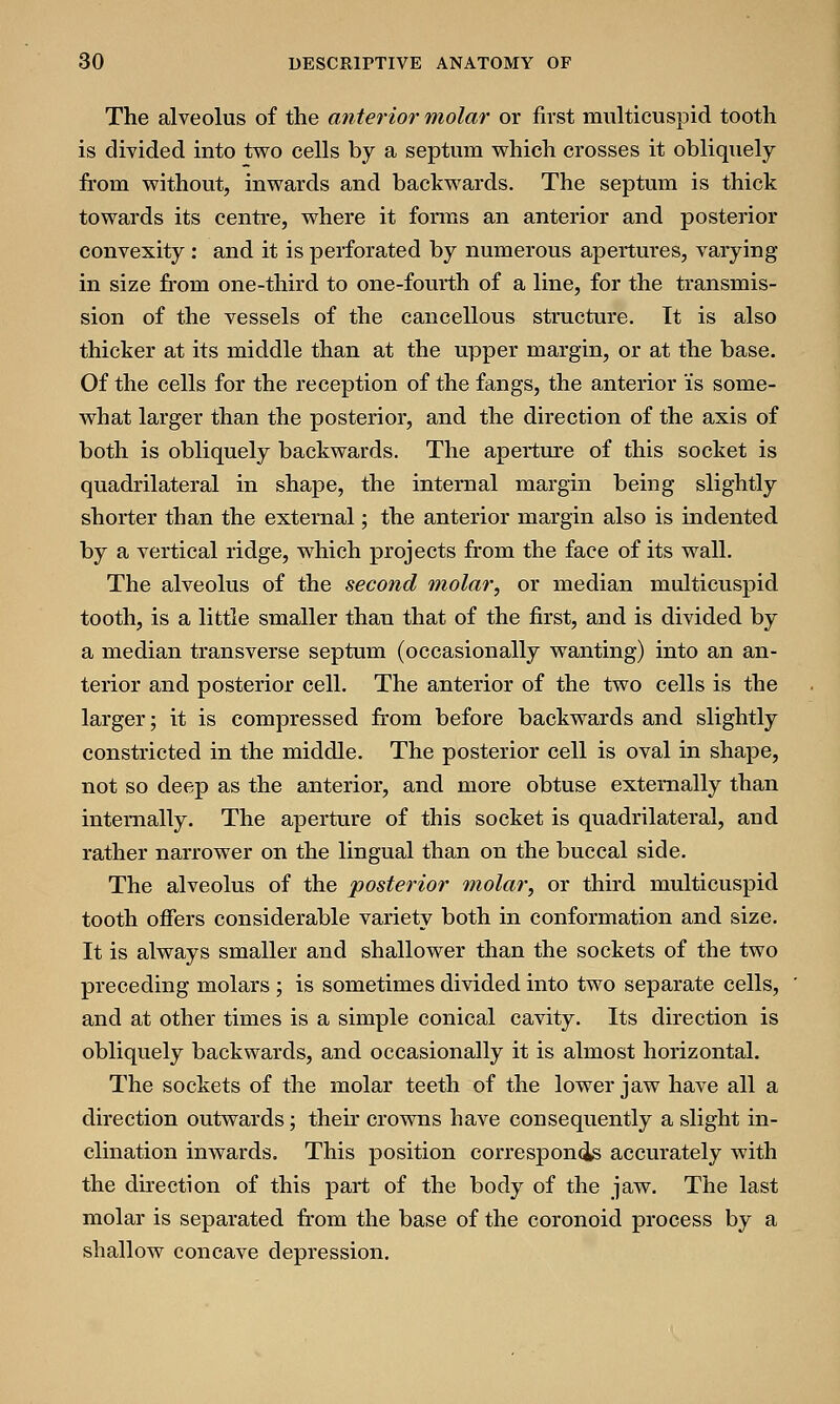 The alveolus of the anterior molar or first multicuspid tooth is divided into two cells by a septum which crosses it obliquely from without, inwards and backwards. The septum is thick towards its centre, where it forms an anterior and posterior convexity : and it is perforated by numerous apertures, varying in size from one-third to one-fourth of a line, for the transmis- sion of the vessels of the cancellous structure. It is also thicker at its middle than at the upper margin, or at the base. Of the cells for the reception of the fangs, the anterior i's some- what larger than the posterior, and the direction of the axis of both is obliquely backwards. The aperture of this socket is quadrilateral in shape, the internal margin being slightly shorter than the external; the anterior margin also is indented by a vertical ridge, which projects from the face of its wall. The alveolus of the second molar, or median multicuspid tooth, is a little smaller than that of the first, and is divided by a median transverse septum (occasionally wanting) into an an- terior and posterior cell. The anterior of the two cells is the larger; it is compressed from before backwards and slightly constricted in the middle. The posterior cell is oval in shape, not so deep as the anterior, and more obtuse externally than internally. The aperture of this socket is quadrilateral, and rather narrower on the lingual than on the buccal side. The alveolus of the posterior molar, or third multicuspid tooth offers considerable variety both in conformation and size. It is always smaller and shallower than the sockets of the two preceding molars ; is sometimes divided into two separate cells, and at other times is a simple conical cavity. Its direction is obliquely backwards, and occasionally it is almost horizontal. The sockets of the molar teeth of the lower jaw have all a direction outwards; their crowns have consequently a slight in- clination inwards. This position corresponds accurately with the direction of this part of the body of the jaw. The last molar is separated from the base of the coronoid process by a shallow concave depression.
