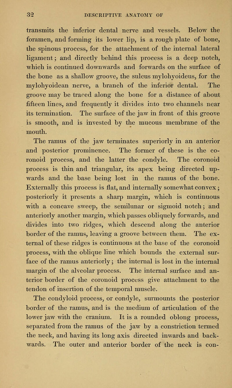 transmits the inferior dental nerve and vessels. Below the foramen, and forming its lower lip, is a rough plate of bone, the spinous process, for the attachment of the internal lateral ligament; and directly behind this process is a deep notch, which is continued downwards and forwards on the surface of the bone as a shallow groove, the sulcus mylohyoideus, for the mylohyoidean nerve, a branch of the inferior dental. The groove may be traced along the bone for a distance of about fifteen lines, and frequently it divides into two channels near its termination. The surface of the jaw in front of this groove is smooth, and is invested by the mucous membrane of the mouth. The ramus of the jaw terminates superiorly in an anterior and posterior prominence. The former of these is the co- ronoid process, and the latter the condyle. The coronoid process is thin and triangular, its apex being directed up- wards and the base being lost in the ramus of the bone. Externally this process is flat, and internally somewhat convex; posteriorly it presents a sharp margin, which is continuous with a concave sweep, the semilunar or sigmoid notch; and anteriorly another margin, which passes obliquely forwards, and divides into two ridges, which descend along the anterior border of the ramus, leaving a groove between them. The ex- ternal of these ridges is continuous at the base of the coronoid process, with the oblique line which bounds the external sur- face of the ramus anteriorly; the internal is lost in the internal margin of the alveolar process. The internal surface and an- terior border of the coronoid process give attachment to the tendon of insertion of the temporal muscle. The condyloid process, or condyle, surmounts the posterior border of the ramus, and is the medium of articulation of the lower jaw with the cranium. It is a rounded oblong process, separated from the ramus of the jaw by a constriction termed the neck, and having its long axis directed inwards and back- wards. The outer and anterior border of the neck is con-