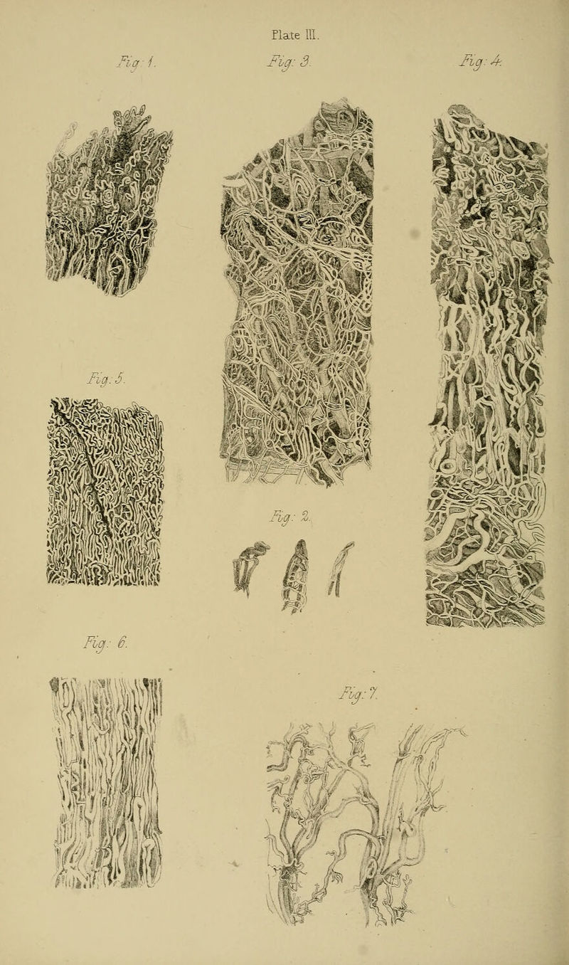 Hate IE. Fin ■ ,f ■*-«.,> mnw Fig: 6. Fi.a-7 %l& im