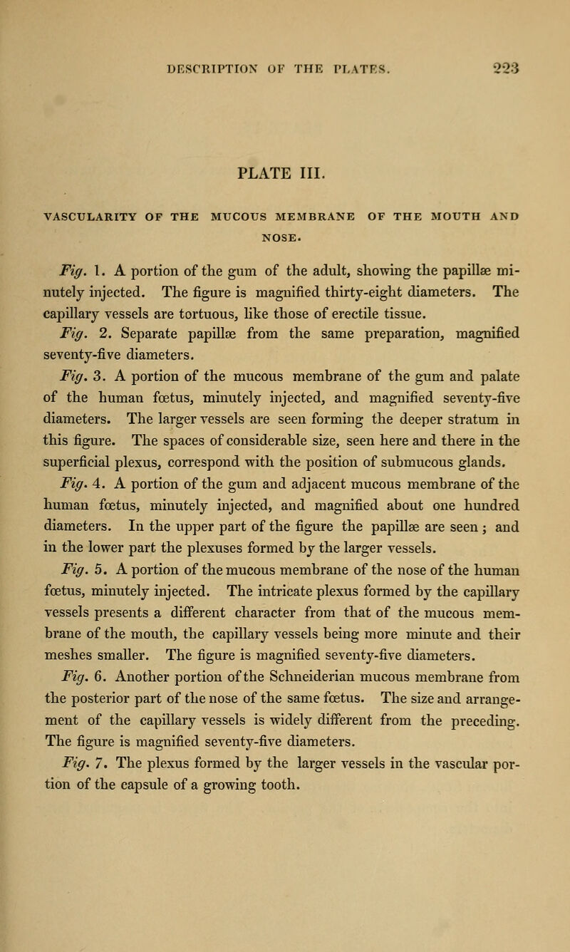 PLATE III. VASCULARITY OF THE MUCOUS MEMBRANE OF THE MOUTH AND NOSE. Fig. 1. A portion of the gum of the adult, showing the papillae mi- nutely injected. The figure is magnified thirty-eight diameters. The capillary vessels are tortuous, like those of erectile tissue. Fig. 2. Separate papillae from the same preparation, magnified seventy-five diameters. Fig. 3. A portion of the mucous membrane of the gum and palate of the human foetus, minutely injected, and magnified seventy-five diameters. The larger vessels are seen forming the deeper stratum in this figure. The spaces of considerable size, seen here and there in the superficial plexus, correspond with the position of submucous glands. Fig. 4. A portion of the gum and adjacent mucous membrane of the human foetus, minutely injected, and magnified about one hundred diameters. In the upper part of the figure the papillae are seen ; and in the lower part the plexuses formed by the larger vessels. Fig. 5. A portion of the mucous membrane of the nose of the human foetus, minutely injected. The intricate plexus formed by the capillary vessels presents a different character from that of the mucous mem- brane of the mouth, the capillary vessels being more minute and their meshes smaller. The figure is magnified seventy-five diameters. Fig. 6. Another portion of the Schneiderian mucous membrane from the posterior part of the nose of the same foetus. The size and arrange- ment of the capillary vessels is widely different from the preceding. The figure is magnified seventy-five diameters. Fig. 7. The plexus formed by the larger vessels in the vascular por- tion of the capsule of a growing tooth.