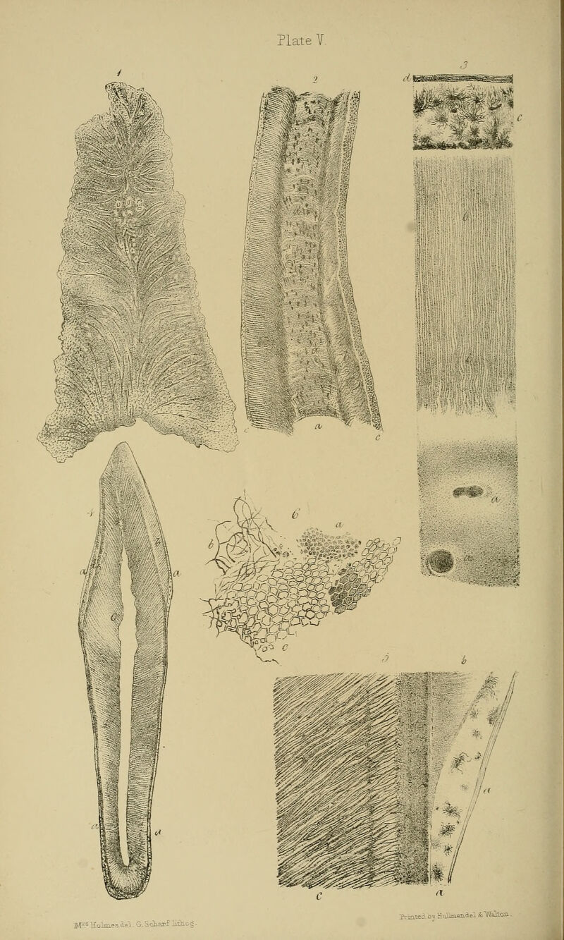 / | mTQkot Y& c ■'^>~:\-: : , I ,.l-.\ _.;■..-' ..: ;SE le : ■ --'-'-