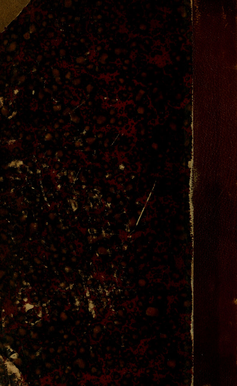 i...- ^r BIS 339 fRRSBfifl ffiiflrnTMmP HgH 13b ■