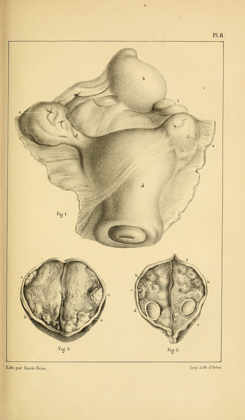 i)S@*5W^'S«.V ^*'*iU^~^ \ Tip-1 ^^''^ ...'ffS' Tig-, 2, y /