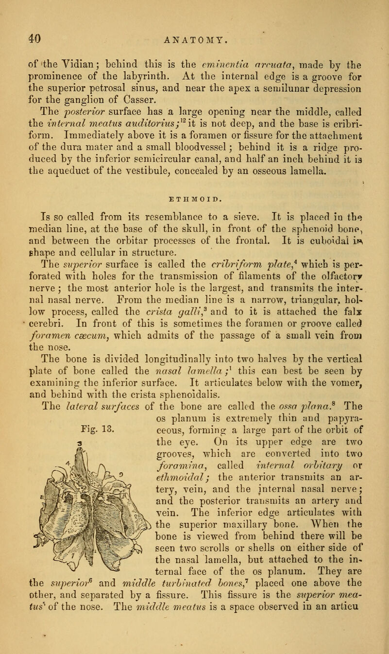 of the Vidian; beliiod this is the cm.inetitia nreuafa, made by the prominence of the labyrinth. At the internal edge is a groove for the superior petrosal sinus, and near the apex a semilunar depression for the ganglion of Casser. The posterior surface has a large opening near the middle, called the internal meatus auditori'us;^^it is not deep, and the base is cribri- form. Immediately above it is a foramen or fissure for the attachment of the dura mater and a small bloodvessel; behind it is a ridge pro- duced by the inferior semicircular canal, and half an inch behind it is the aqueduct of the vestibule, concealed by an osseous lamella. ETHMOID. Is so called from its resemblance to a sieve. It is placed in the median line, at the base of the skull, in front of the sphenoid bone^ and between the orbitar processes of the frontal. It is cuboidal i^ ghape and cellular in structure. The siijierior surface is called the crihriform plate,'^ which is per- forated with holes for the transmission of filaments of the olfactory nerve ; the most anterior hole is the largest, and transmits the inter- nal nasal nerve. From the median line is a narrow, triano^ular, hol- low process, called the crista galll^ and to it is attached the falx cerebri. In front of this is sometimes the foramen or groove called foramen caecum, which admits of the passage of a small vein from the nose. The bone is divided longitudinally into two halves by the vertical plate of bone called the nasal lamella;^ this can best be seen by examining the inferior surface. It articulates below with the vomer, and behind with the crista sphenoidalis. The lateral surfaces of the bone are called the osw plana.^ The OS planum is extremely thin and papyra- Fig. 13. ceous, forming a large part of the orbit of the eye. On its upper edge are two grooves, which are converted into two foramina, called internal orhitary or ethmoidal; the anterior transmits an ar- tery, vein, and the internal nasal nerve; and the posterior transmits an artery and >vein. The inferior edge articulates with the superior maxillary bone. When the bone is viewed from behind there will be seen two scrolls or shells on either side of the nasal lamella, but attached to the in- ternal face of the os planum. They are the superior^ and middle turhinated hones,'' placed one above the other, and separated by a fissure. This fissure is the superior mea- tus'' of the nose. The middle meatus is a space observed in an articu