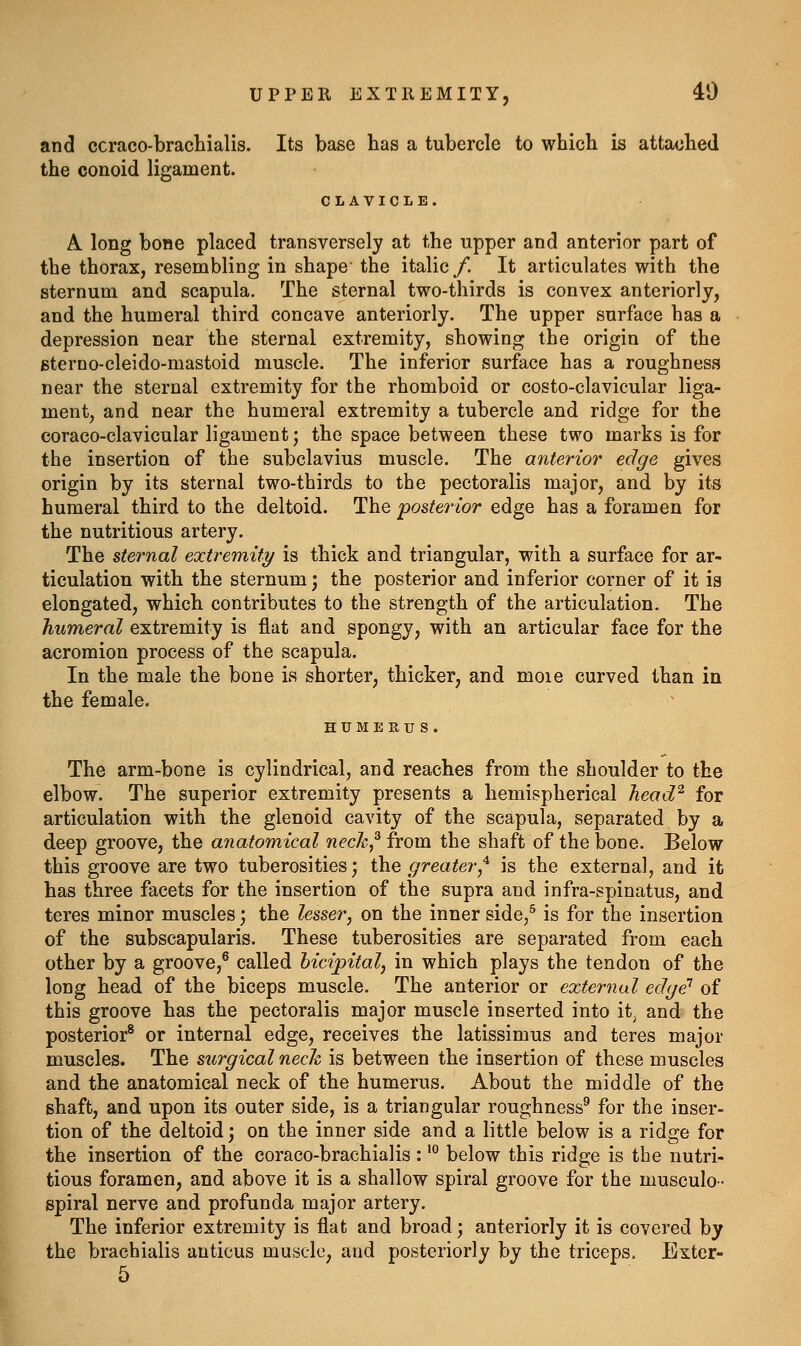 UPPER EXTREMITY, 40 and ccraco-brachialis. Its base has a tubercle to which is attached the conoid ligament. CLAVICLE, A long bone placed transversely at the upper and anterior part of the thorax, resembling in shape the italic/. It articulates with the sternum and scapula. The sternal two-thirds is convex anteriorly, and the humeral third concave anteriorly. The upper surface has a depression near the sternal extremity, showing the origin of the fiterno-cleido-mastoid muscle. The inferior surface has a roughness near the sternal extremity for the rhomboid or costo-clavicular liga- ment, and near the humeral extremity a tubercle and ridge for the coraco-clavicular ligament; the space between these two marks is for the insertion of the subclavius muscle. The anterior edge gives origin by its sternal two-thirds to the pectoralis major, and by its humeral third to the deltoid. The posterior edge has a foramen for the nutritious artery. The sternal extremity is thick and triangular, with a surface for ar- ticulation with the sternum; the posterior and inferior corner of it is elongated, which contributes to the strength of the articulation. The humeral extremity is flat and spongy, with an articular face for the acromion process of the scapula. In the male the bone is shorter, thicker, and moie curved than in the female. HUMEUU S. The arm-bone is cylindrical, and reaches from the shoulder to the elbow. The superior extremity presents a hemispherical head^ for articulation with the glenoid cavity of the scapula, separated by a deep groove, the anatomical nech^ from the shaft of the bone. Below this groove are two tuberosities; the greater^^ is the external, and it has three facets for the insertion of the supra and infra-spinatus, and teres minor muscles \ the lesser^ on the inner side,^ is for the insertion of the subscapularis. These tuberosities are separated from each other by a groove,^ called hicipitalj in which plays the tendon of the long head of the biceps muscle. The anterior or external edge' of this groove has the pectoralis major muscle inserted into it, and the posterior^ or internal edge, receives the latissimus and teres major muscles. The surgical neck is between the insertion of these muscles and the anatomical neck of the humerus. About the middle of the shaft, and upon its outer side, is a triangular roughness^ for the inser- tion of the deltoid J on the inner side and a little below is a ridge for the insertion of the coraco-brachialis :'° below this ridge is the nutri- tious foramen, and above it is a shallow spiral groove for the musculo- spiral nerve and profunda major artery. The inferior extremity is flat and broad; anteriorly it is covered by the brachialis anticus muscle, and posteriorly by the triceps, Exter- 5