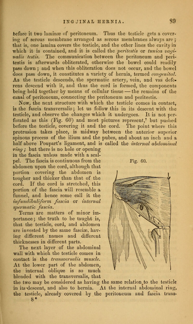 INGJINAL HERNIA S9 Fig. 60. before it two laminae of peritoneum. Thus the testicle gets a cover- ing of serous membrane arranged as serous membranes always are ; that is, one lamina covers the testicle, and the other lines the cavity in which it is contained, and it is called the peritestis or tunica vwji- nalis testis. The communication between the peritoneum and peri- testis is afterwards obliterated, otherwise the bowel could readily pass down; and when this obliteration does not occur, and the bowel does pass down, it constitutes a variety of hernia, termed congenital. As the testicle descends, the spermatic artery, vein, and vas defe- rens descend with it, and thus the cord is formed, the components being held together by means of cellular tissue — the remains of the canal of peritoneum, connecting the peritoneum and peritestis. Now^ the next structure with which the testicle comes in contact, is the fascia transversalis; let us follow this in its descent with the testicle, and observe the changes which it undergoes. It is not per- forated as this (Fig. 60) and most pictures represent,'^ but pushed before the testicle, covering it and the cord. The point where this protrusion takes place, is midway between the anterior superior spinous process of the ilium and the pubes, and about an inch and a half above Poupart's ligament, and is called the internal ahdominal ring ; but there is no hole or opening in the fascia unless made with a scal- pel. The fascia is continuous from the abdomen upon the cord, althougli that portion covering the abdomen is tougher and thicker than that of the cord. If the cord is stretched, this portion of the fascia will resemble a funnel, and hence some call it the infundihulifonn fascia or internal spermatic fascia. Terms are matters of minor im- portance 'y the truth to be taught is, that the testicle, cord, and abdomen are invested by the same fasciae, hav- ing different names and different thicknesses in different parts. The next layer of the abdominal wall with which the testicle comes in contact is the transversalis muscle. At the lower part of the abdomen, the internal oblique is so much blended with the transversalis, that the two may be considered as having the same relation.to the testicle in its -descent, and also to hernia. At the internal abdominal ring, the testicle, already covered by the peritoneum and fascia trans- 8*