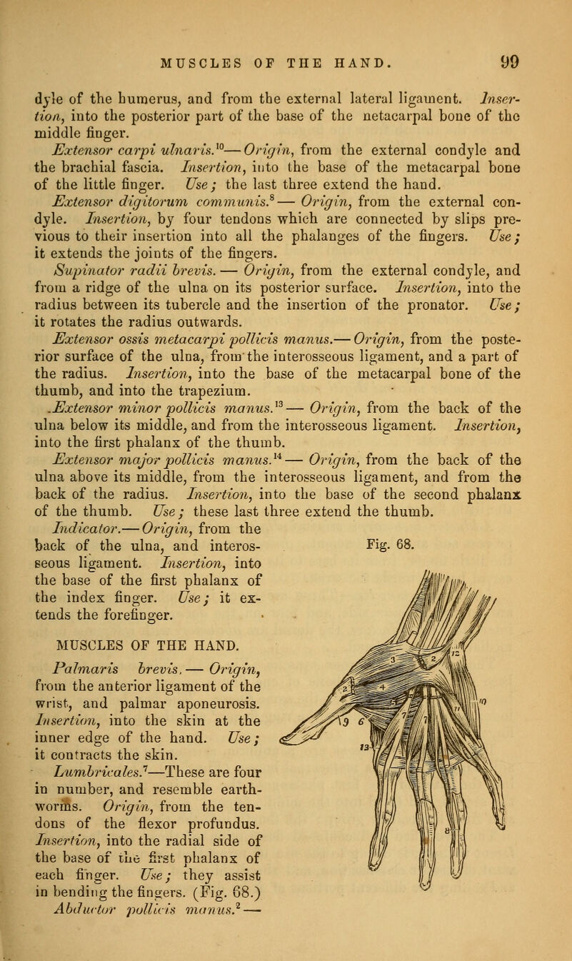 dyle of the humerus, and from the external lateral ligament. Inser- tion, into the posterior part of the base of the netacarpal bone of the middle finger. Uxtensor carpi ulnarisy—Origin, irom the external condyle and the brachial fascia. Insertion, into the base of the metacarpal bone of the little finger. Use; the last three extend the hand. Extensor digitorum communis.^— Origin, from the external con- dyle. Insertion, by four tendons which are connected by slips pre- vious to their insertion into all the phalanges of the fingers. Use; it extends the joints of the fingers. Supinator radii hrevis. — Origin, from the external condyle, and from a ridge of the ulna on its posterior surface. Insertion, into the radius between its tubercle and the insertion of the pronator. Use; it rotates the radius outwards. Extensor ossis metacarpi poUicis manus.— Origin, from the poste- rior surface of the ulna, from'the interosseous ligament, and a part of the radius. Insertion, into the base of the metacarpal bone of the thumb, and into the trapezium. .Extensor minor pollicis manus}^— Origin, from the back of the ulna below its middle, and from the interosseous ligament. Insertion^ into the first phalanx of the thumb. Extensor major pollicis manus.^'*'— Origin, from the back of the ulna above its middle, from the interosseous ligament, and from the back of the radius. Insertion, into the base of the second phalanx of the thumb. Use ; these last three extend the thumb. Indicator.— Origin, from the back of the ulna, and interos- Fig- 68, seous ligament. Insertion, into the base of the first phalanx of the index finger. Use; it ex- tends the forefinger. MUSCLES OF THE HAND. Palmar is hrevis, — Origin j from the anterior ligament of the wrist, and palmar aponeurosis. Insertion, into the skin at the inner edge of the hand. Use; it contracts the skin. Lnmbricales?—These are four in number, and resemble earth- works. Origin, from the ten- dons of the flexor profundus. Insertion, into the radial side of the base of the first phalanx of each finger. Use; they assist in bending the fingers. (Fig. 68.) Abductor pollicis munus} —