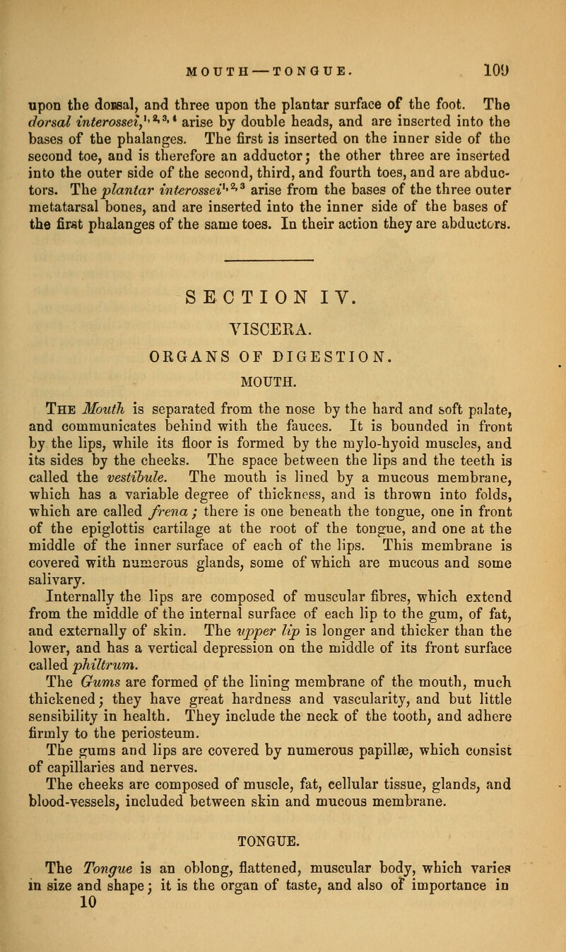 MOUTH — TONGUE. 100 upon the donsal, an<3 three upon the plantar surface of the foot. The dorsal interossei,^'^^'* arise by double heads, and are inserted into the bases of the phalanges. The first is inserted on the inner side of the second toe, and is therefore an adductor; the other three are inserted into the outer side of the second, third, and fourth toes, and are abduc- tors. The plantar interossei^'^'^ arise from the bases of the three outer metatarsal bones, and are inserted into the inner side of the bases of the firat phalanges of the same toes. In their action they are abductors. SECTION ly. VISCERA. ORGANS OF DIGESTION. MOUTH. The Mouth is separated from the nose by the hard and soft palate, and communicates behind with the fauces. It is bounded in front by the lips, while its floor is formed by the mylo-hyoid muscles, and its sides by the cheeks. The space between the lips and the teeth is called the vestibule. The mouth is lined by a mucous membrane, which has a variable degree of thickness, and is thrown into folds, which are called frena ; there is one beneath the tongue, one in front of the epiglottis cartilage at the root of the tongue, and one at the middle of the inner surface of each of the lips. This membrane is covered with numerous glands, some of which are mucous and some salivary. Internally the lips are composed of muscular fibres, which extend from the middle of the internal surface of each lip to the gum, of fat, and externally of skin. The v/pper Up is longer and thicker than the lower, and has a vertical depression on the middle of its front surface called philtrum. The Gums are formed of the lining membrane of the mouth, much thickened; they have great hardness and vascularity, and but little sensibility in health. They include the neck of the tooth, and adhere firmly to the periosteum. The gums and lips are covered by numerous papillee, which consist of capillaries and nerves. The cheeks are composed of muscle, fat, cellular tissue, glands, and blood-vessels, included between skin and mucous membrane. TONGUE. The Tongue is an oblong, flattened, muscular body, which varies in size and shape; it is the organ of taste, and also of importance in 10