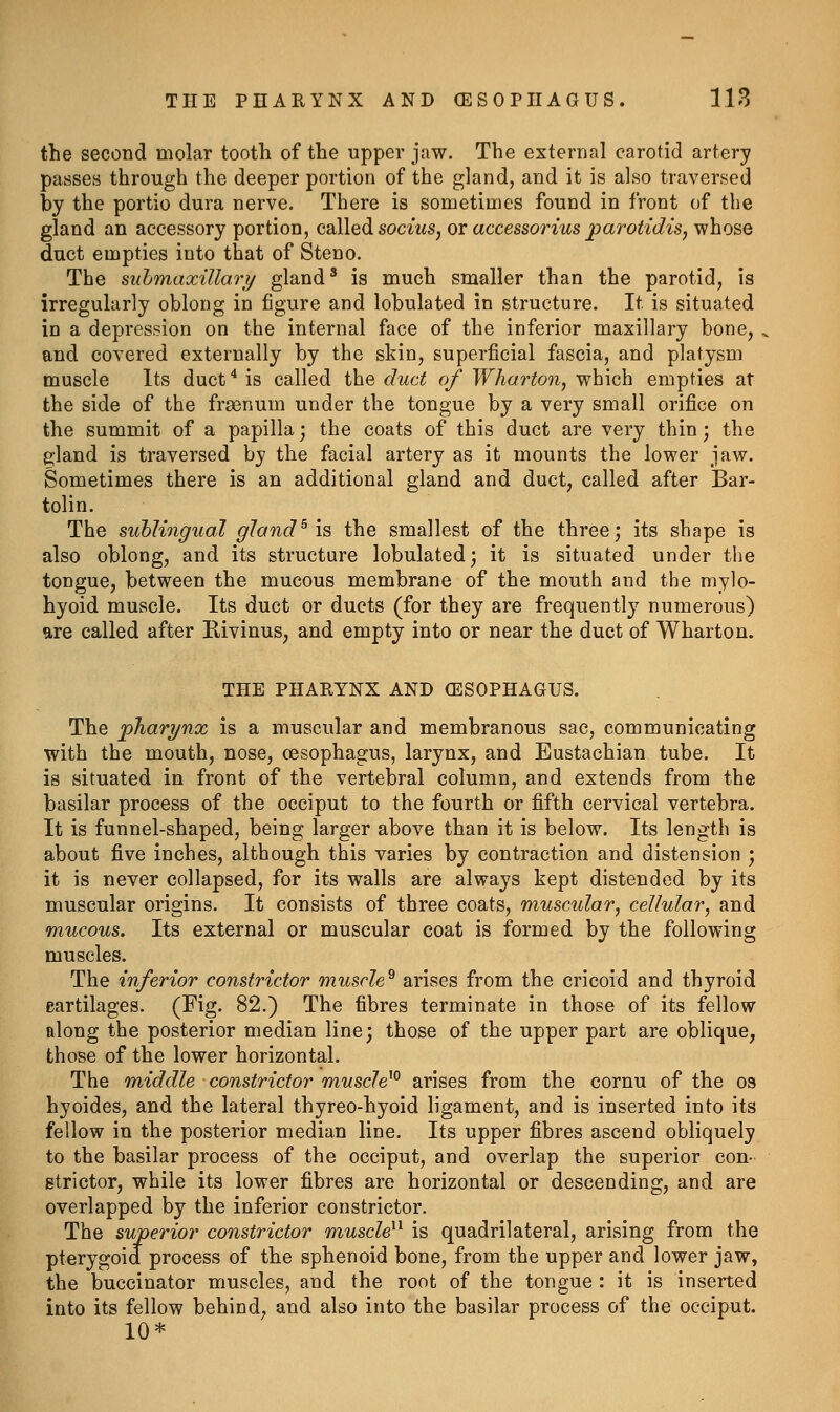 the second molar tooth of the upper jaw. The external carotid artery passes through the deeper portion of the gland, and it is also traversed by the portio dura nerve. There is sometimes found in front of the gland an accessory portion, called soc^ws, or accessorius j)arotidis, whose duct empties into that of Steno. The siihmaxillary gland' is much smaller than the parotid, is irregularly oblong in figure and lobulated in structure. It is situated in a depression on the internal face of the inferior maxillary bone, . and covered externally by the skin, superficial fascia, and platysm muscle Its duct ^ is called the duct of Wharton, which empties at the side of the fraenum under the tongue by a very small orifice on the summit of a papilla; the coats of this duct are very thin; the gland is traversed by the facial artery as it mounts the lower jaw. Sometimes there is an additional gland and duct, called after Bar- tolin. The sublingual gland^ is the smallest of the three; its shape is also oblong, and its structure lobulated; it is situated under the tongue, between the mucous membrane of the mouth and the mylo- hyoid muscle. Its duct or ducts (for they are frequently numerous) are called after Rivinus, and empty into or near the duct of Wharton. THE PHAEYNX AND (ESOPHAGUS. The pharynx is a muscular and membranous sac, communicating with the mouth, nose, cesophagus, larynx, and Eustachian tube. It is situated in front of the vertebral column, and extends from the basilar process of the occiput to the fourth or fifth cervical vertebra. It is funnel-shaped, being larger above than it is below. Its length is about five inches, although this varies by contraction and distension ; it is never collapsed, for its walls are always kept distended by its muscular origins. It consists of three coats, muscular, cellular, and mucous. Its external or muscular coat is formed by the following muscles. The inferior constrictor muscle^ arises from the cricoid and thyroid eartilages. (Fig. 82.) The fibres terminate in those of its fellow along the posterior median line; those of the upper part are oblique, those of the lower horizontal. The middle constrictor muscle^^ arises from the cornu of the os hyoides, and the lateral thyreo-hyoid ligament, and is inserted into its fellow in the posterior median line. Its upper fibres ascend obliquely to the basilar process of the occiput, and overlap the superior con- gtrictor, while its lower fibres are horizontal or descending, and are overlapped by the inferior constrictor. The superior constrictor muscle^^ is quadrilateral, arising from the pterygoid process of the sphenoid bone, from the upper and lower jaw, the buccinator muscles, and the root of the tongue : it is inserted into its fellow behind, and also into the basilar process of the occiput. 10*