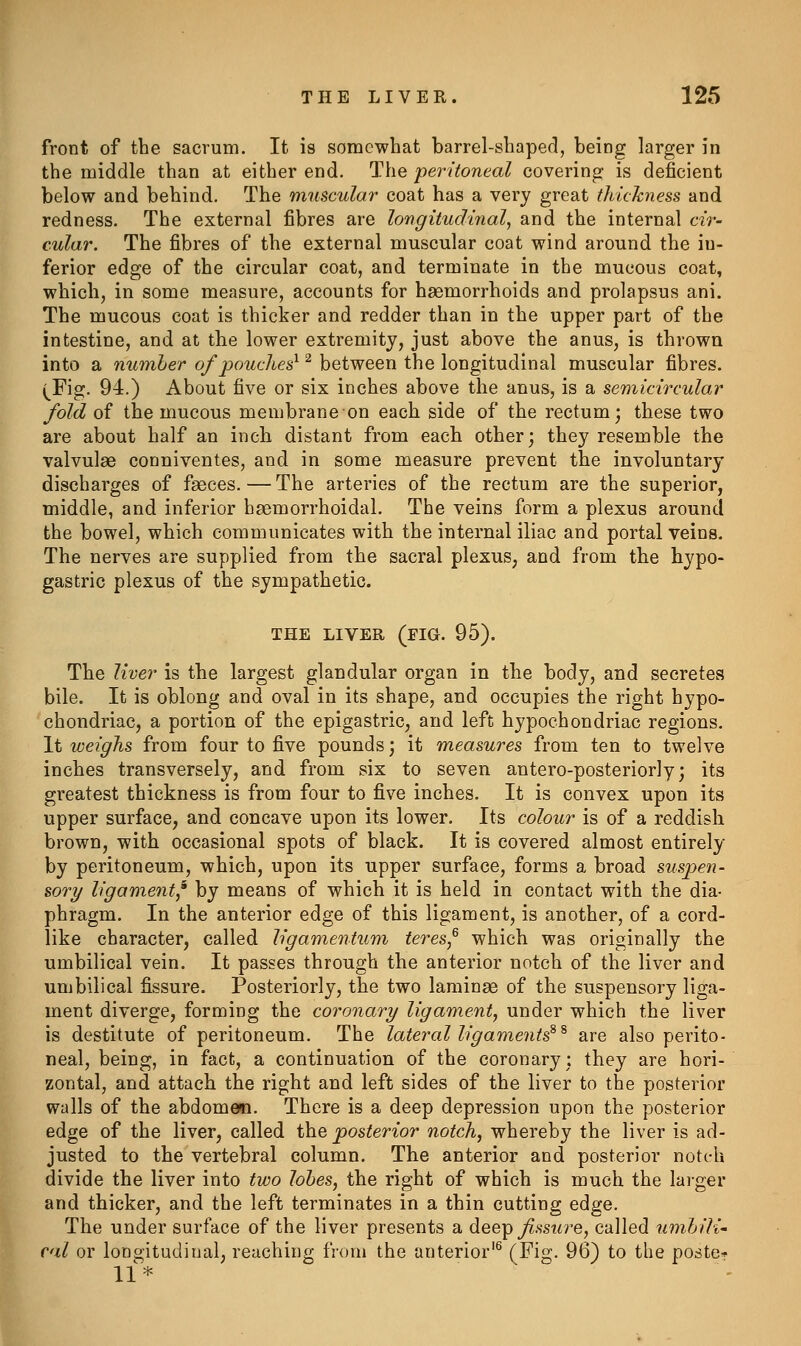 front of the sacrum. It is somewhat barrel-shaped, being larger in the middle than at either end. The peritoneal covering is deficient below and behind. The muscular coat has a very great tidckness and redness. The external fibres are longitudinal^ and the internal cir- cular. The fibres of the external muscular coat wind around the in- ferior edge of the circular coat, and terminate in the mucous coat, which, in some measure, accounts for haemorrhoids and prolapsus ani. The mucous coat is thicker and redder than in the upper part of the intestine, and at the lower extremity, just above the anus, is thrown into a number of pouches^ ^ between the longitudinal muscular fibres. (^Fig. 94.) About five or six inches above the anus, is a semicircular fold of the mucous membrane on each side of the rectum; these two are about half an inch distant from each other; they resemble the valvulae conniventes, and in some measure prevent the involuntary discharges of faeces. — The arteries of the rectum are the superior, middle, and inferior haemorrhoidal. The veins form a plexus around the bowel, which communicates with the internal iliac and portal veins. The nerves are supplied from the sacral plexus, and from the hypo- gastric plexus of the sympathetic. THE LIVER (fig. 95). The liver is the largest glandular organ in the body, and secretes bile. It is oblong and oval in its shape, and occupies the right hypo- chondriac, a portion of the epigastric, and left hypochondriac regions. It weigJis from four to five pounds; it measures from ten to twelve inches transversely, and from six to seven antero-posteriorly; its greatest thickness is from four to five inches. It is convex upon its upper surface, and concave upon its lower. Its colour is of a reddish brown, with occasional spots of black. It is covered almost entirely by peritoneum, which, upon its upper surface, forms a broad suspen- sory ligament,^ by means of which it is held in contact with the dia- phragm. In the anterior edge of this ligament, is another, of a cord- like character, called ligamentum teres^ which was originally the umbilical vein. It passes through the anterior notch of the liver and umbilical fissure. Posteriorly, the two laminae of the suspensory liga- ment diverge, forming the coronary ligament, under which the liver is destitute of peritoneum. The latercd ligaments^ ^ are also perito- neal, being, in fact, a continuation of the coronary; they are hori- zontal, and attach the right and left sides of the liver to the posterior walls of the abdomem. There is a deep depression upon the posterior edge of the liver, called the posterior notch, whereby the liver is ad- justed to the vertebral column. The anterior and posterior notch divide the liver into two lobes, the right of which is much the larger and thicker, and the left terminates in a thin cutting edge. The under surface of the liver presents a deeip fssure, called umbili' cal or longitudinal, reaching from the anterior'® (^^S- 96) to the poste^- 11*