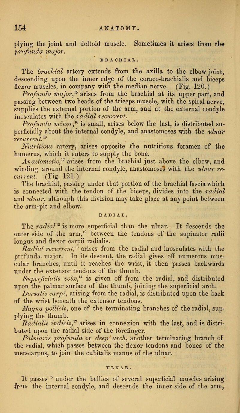 plying the joint and deltoid muscle. Sometimes it arises from the l)rofunda major. BRACHIAL. The hrachial artery extends from the axilla to the elbow joint, descending upon the inner edge of the coraco-brachialis and biceps flexor muscles, in company with the median nerve. (Fig. 120.) Profunda major,^^ arises from the brachial at its upper part, and passing between two heads of the triceps muscle, with the spiral nerve, supplies the external portion of the arm, and at the external condyle inosculates with the radial recurrent. Profunda, minor,^^ is small, arises below the last, is distributed su- perficially about the internal condyle, and anastomoses with the ulnar recurrent.^^ Nutritious artery, arises opposite the nutritious foramen of the humerus, which it enters to supply the bone. Anastomotic,^'' arises from the brachial just above the elbow, and winding around the internal condyle, anastomosed with the ulnar re- current. (Fig. 121.) The brachial, passing under that portion of the brachial fascia which is connected with the tendon of the biceps, divides into the radial and ulnar, although this division may take place at any point between the arm-pit and elbow. RADIAL. The radiaV^ is more superficial than the ulnar. It descends the outer side of the arm,'^ between the tendons of the supinator radii iongus and flexor carpii radialis. ' Radial recurrent,^^ arises from the radial and inosculates with the profunda major. In its descent, the radial gives off numerous mus- cular branches, until it reaches the wrist, it then passes backwards under the extensor tendons of the thumb. Snperficialis volce,'^^ is given off from the radial, and distributed upon the palmar surface of the thumb, joining the superficial arch. Dorsalis carpi, arising from the radial, is distributed upon the back of the wrist beneath the extensor tendons. Magna pollicis, one of the terminating branches of the radial, sup- plying the thumb. Radialis indicis, arises in connexion with the last, and is distri- buted upon the radial side of the forefinger. Palmaris profunda or deep arch, another terminating branch of the radial, which passes between the flexor tendons and bones of the metj«carpus, to join the cubitalis manus of the ulnar. It passes '^ under the bellies of several superficial muscles arising fir^m the internal condyle, and descends the inner side of the arm,