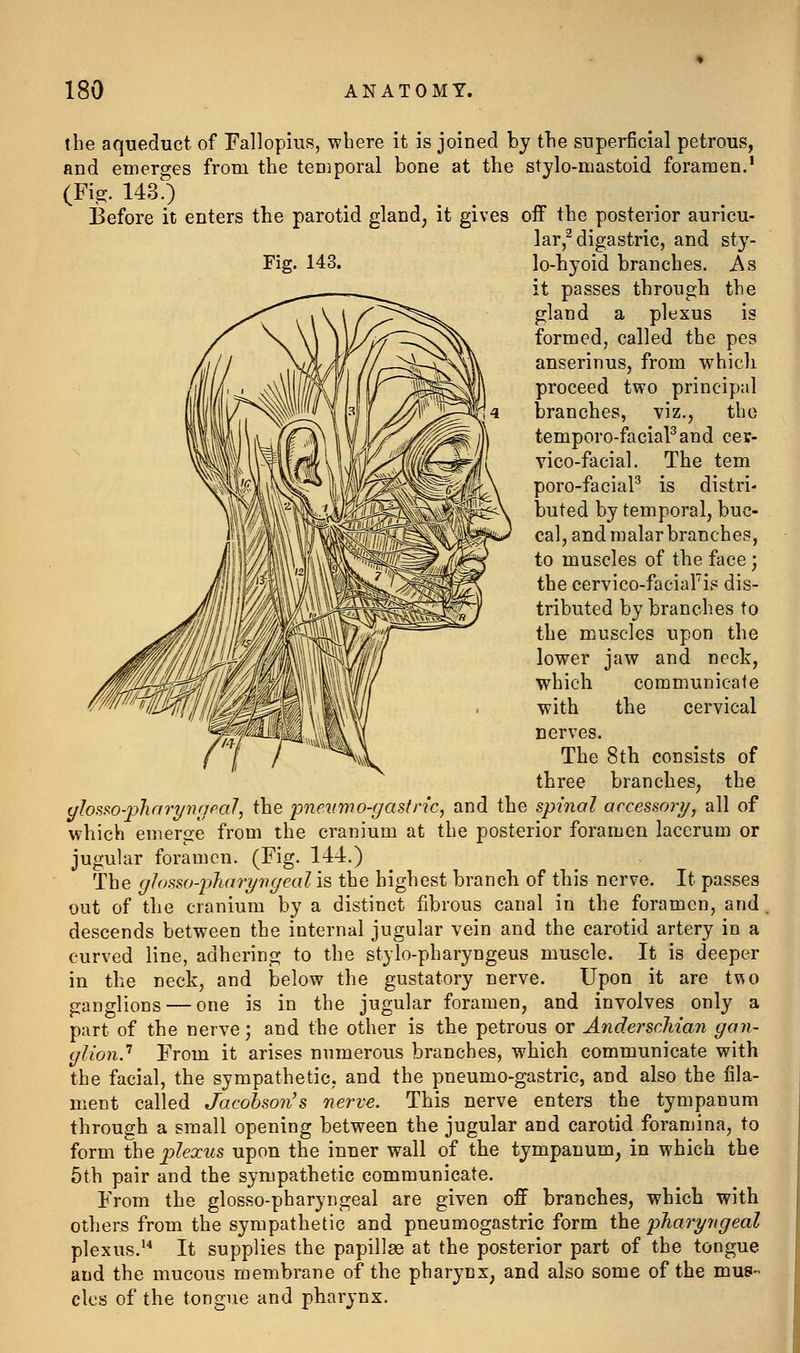 the aqueduct of Fallopius, where it is joined by the superficial petrous, and emerges from the teniporal bone at the stylo-mastoid foramen.' (Fi.^. 143.) Before it enters the parotid gland, it gives off the posterior auricu- lar,^ digastric, and sty- Fig. 143. lo-hyoid branches. As it passes through the gland a plexus is formed, called the pes anserinus, from which proceed two principal branches, viz., the temporo-faciaPand cey- vico-facial. The tem poro-faciaP is distri- buted by temporal, buc- cal, and malar branches, to muscles of the face 3 the cervico-faciaFis dis- tributed by branches to the muscles upon the lower jaw and neck, which communicate with the cervical nerves. The 8th consists of three branches, the yhsi^o-phnrynnpal, the pneiimo-gasfn'c, and the spinal arcessojy, all of which emerge from the cranium at the posterior foramen lacerum or jugular foramen. (Fig. 144.) The glosso-pharyngeal is the highest branch of this nerve. It passes out of the cranium by a distinct fibrous canal in the foramen, and descends between the internal jugular vein and the carotid artery in a curved line, adhering to the stylo-pharyngeus muscle. It is deeper in the neck, and below the gustatory nerve. Upon it are t\\o ganglions — one is in the jugular foramen, and involves only a part of the nerve; and the other is the petrous or AnderscMan gan- glion.'^ From it arises numerous branches, which communicate with the facial, the sympathetic, and the pneumo-gastric, and also the fila- ment called Jacohson's nerve. This nerve enters the tympanum through a small opening between the jugular and carotid foramina, to form the plexus upon the inner wall of the tympanum, in which the 5th pair and the sympathetic communicate. From the glosso-pharyngeal are given off branches, which with others from the sympathetic and pneumogastric form the pharyngeal plexus.'* It supplies the papillae at the posterior part of the tongue and the mucous membrane of the pharynx, and also some of the mus- cles of the tongue and pharynx.