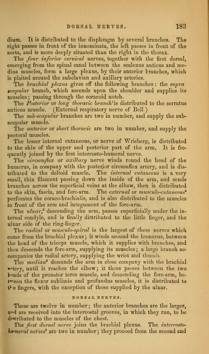 <Iiura. It is distributed to the diapliragra by several branches. The right passes in front of the innominata, the left passes in front of the aorta, and is more deeply situated than the right in the thorax. The four inferior cervical nerves, together with the first dorsal, emerging from the spinal canal between the scalenus anticus and me- dius muscles, form a large plexus, by their anterior branches, which is plaited around the subclavian and axillary arteries. The hracliial plexus gives off the following branches : the supra scapular branch, which ascends upon the shoulder and supplies its muscles; passing through the coracoid notch. The Posterior or long thoracic hranch^'m distributed to the serratus anticus muscle. (External respiratory nerve of Bell.) The suh-scapular branches are two in number, and supply the sub- scapular muscle. The anterior or sJwrt thoracic are two in number, and supply the pectoral muscles. The lesser internal cutaneous, or nerve of Wrisberg, is distributed to the skin of the upper and posterior part of the arm. It is fre- quently joined by the first intercosto-humeral nerve. The circumjiex or axillary nerve winds round the head of the humerus, in company with the posterior circumflex artery, and is dis- tributed to the deltoid muscle. The internal cutaneous is a very small, thin filament passing down the inside of the arm, and sends branches across the superficial veins at the elbow, then is distributed to the skin, fascia, and fore-arm. The external or musculo-cutaneous^ perforates the coraco-brachialis, and is also distributed to the muscles in front of the arm and integument of the fore-arm. The ulnar^ descending the arm, passes superficially under the in- ternal condyle, and is finally distributed to the little finger, and the ulnar side of the ring-finger. The radial or musculo-spiral is the largest of these nerves which come from the brachial plexus; it winds around the humerus, between the head of the triceps muscle, which it supplies with branches, and then descends the fore-arm, supplying its muscles; a large branch ac- companies the radial artery, supplying the wrist and thumb. The median^ descends the arm in close company with the brachial *'*tery, until it reaches the elbow; it there parses between the two t'^ads of the pronator teres muscle, and descending the fore-arm, be- t»teen the flexor sublimis and profundus muscles, it is distributed to t^« fingers, with the exception of those supplied by the ulnar. DOESAL NERVES. These are twelve in number; the anterior branches are the larger, ar-d are received into the intercostal grooves, in which they run, to bo distributed to the muscles of the chest. The first dorsal nerve joins the brachial plexus. The intercosto- hv-meral nerves^ are two in number; they proceed from the second and