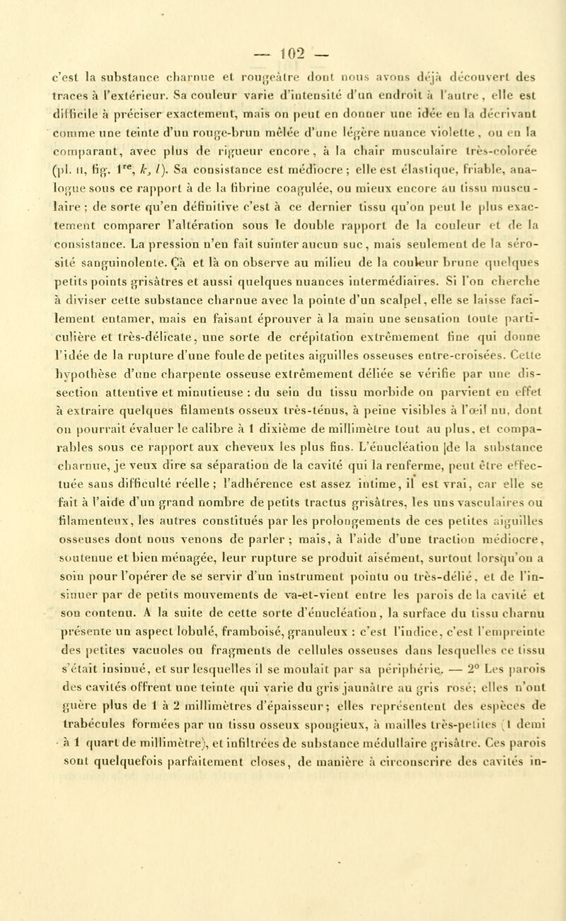 c'est la substance chaiiiue et roiiijeàlrc dont nous avons di'-jà découvert des traces à l'extérieur. Sa couleur varie d'intensité d'un endroit à l'autre, elle est difficile à préciser exactement, mais on peut en donner une idée en la décrivant comme une teinte d'un rou{^c-brun mêlée d'une léjTfère nuance violette, ou en la comparant, avec plus de rijjfueur encore, à la chair musculaire très-colorée ([)[. Il, Hp;. f*', k^ l). Sa consistance est médiocre; elle est élastique, friable, ana- lojiuesous ce raj>port à de la fibrine coajifulée, ou mieux encore au tissu muscu- laire ; de sorte qu'en définitive c'est à ce dernier tissu qu'on peut le plus exac- tement comparer l'altération sous le double rapport de la couleur et de la consistance. La pression n'en fait suinter aucun suc, mais seulement de la séro- sité sanguinolente. Çà et là on observe au milieu de la couleur brune quelques petits points grisâtres et aussi quelques nuances Intermédiaires. Si l'on cherche à diviser celte substance charnue avec la pointe d'un scalpel, elle se laisse faci- lement entamer, mais en faisant éprouver à la main une sensation toute parti- culière et très-délicate, une sorte de crépitation extrêmement fine qui donne l'idée de la rupture d'une foule de petites aiguilles osseuses entre-croisées. Cette hypothèse d'une charpente osseuse extrêmement déliée se vérifie par une dis- section attentive et minutieuse : du sein du tissu morbide on parvient en effet à extraire quelques filaments osseux très-ténus, à peine visibles à l'œil nu. dont on pourrait évaluer le calibre à 1 dixième de millimètre tout au [)lus, el compa- rables sous ce rapport aux cheveux les plus fins. L'éuucléation [de la substance charnue, je veux dire sa séparation de la cavité qui la renferme, peut être effec- tuée sans difficulté réelle ; l'adhérence est assez intime, il est vrai, car elle se fait à l'aide d'un grand nombre de petits tractus grisâtres, les uns vasculaires ou filamenteux, les autres constitués parles prolongements de ces petites aiguilles osseuses dont nous venons de parler; mais, à l'aide d'une traction médiocre, soutenue et bien ménagée, leur rupture se produit aisément, surtout lorsî^u'on a soin |)Our l'opérer de se servir d'un instrument pointu ou très-délié, et de l'in- sinuer par de petits mouvements de va-et-vient entre les |)arois de la cavité et son contenu. A la suite de cette sorte d'énucléation, la surface du tissu charnu présente un aspect lobule, framboise, granuleux : c'est l'indice, c'est l'empreinte des petites vacuoles ou fragments de cellules osseuses dans lesquelles ce tissu s'était insinué, et sur lesquelles il se moulait par sa périphérie. — 2° Les parois des cavités offrent une teinte qui varie du gris jaunâtre au gris rosé; elles n'ont guère plus de 1 à 2 millimètres d'épaisseur; elles représentent des espèces de trabécules formées par un tissu osseux spongieux, à mailles très-pelites J demi • à 1 quart de millimètre), et infiltrées de substance médullaire grisâtre. Ces parois sont quelquefois parfaitement closes, de manière à circonscrire des cavités in-