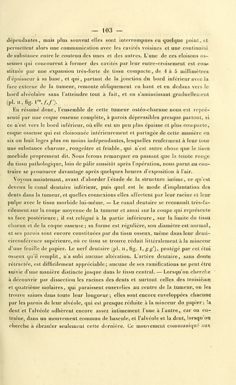 dépendantes, mais plus souvent elles sont interrompues en quelque point, et permettent alors une communication avec les cavités voisines et une continuité de substance entre le contenu des unes et des autres. L'une de ces cloisons os- seuses qui concourent à former des cavités par leur entre-croisement est con- stituée par une expansion très-forte de tissu compacte, de 4 à 5 millimètres d'épaisseur à sa base, et qui, partant de la jonction du bord inférieur avec la face externe de la tumeur, remonte obliquement en haut et en dedans vers le bord alvéolaire sans l'atteindre tout à fait, et en s'amincissant graduellement (pi. II, fig.l-,/./'}. En résumé donc, l'ensemble de cette tumeur ostéo-charnue nous est repré- senté par une coque osseuse complète, à parois dépressibles presque partout, si ce n'est vers le bord inférieur, où elle est un peu plus épaisse et plus compacte, coque osseuse qui est cloisonnée intérieurement et partagée de cette manière en six ou huit loges plus ou moins indépendantes, lesquelles renferment à leur tour une substance charnue, rougeàtre et friable, qui n'est autre chose que le tissu morbide proprement dit. Nous ferons remarquer en passant que la teinte rouge du tissu pathologique, loin de pâlir aussitôt après l'opération, nous parut au con- traire se prononcer davantage après quelques heures d'exposition à l'air. Voyons maintenant, avant d'aborder l'étude de la structure intime, ce qu'est devenu le canal dentaire inférieur, puis quel est le mode d'implantation des dents dans la tumeur, et quelles connexions elles affectent par leur racine et leur pulpe avec le tissu morbide lui-même. — Le canal dentaire se reconnaît très-fa- cilement sur la coupe moyenne de la tumeur et aussi sur la coupe qui représente sa face postérieure ; il est relégué à la partie inférieure, sur la limite du tissu charnu et de la coque osseuse; sa forme est régulière, son diamètre est normal, et ses parois sont encore constituées par du tissu osseux, même dans leur demi- circonférence supérieure, où ce tissu se trouve réduit littéralement à la minceur d'une feuille de papier. Le nerf dentaire (pi. ii, fig. i, gg')^ protégé par cet étui osseux qu'il remplit, n'a subi aucune altéiation. L'artère dentaire, sans doute rétractée, est difficilement appréciable; aucune de ses ramifications ne peut être suivie d'une manière distincte jusque dans le tissu central. — Lorsqu'on cherche à découvrir par dissection les racines des dents et surtout celles des troisième et quatrième molaires, qui paraissent ensevelies au centre de la tumeur, on les trouve saines dans toute leur longueur ; elles sont encore enveloppées chacune par les parois de leur alvéole, qui est presque réduite à la minceur du papier; !a dent et l'alvéole adhèrent encore assez intimement l'une à l'autre, car on en- traîne, dans un mouvement commun de bascule, et l'alvéole et la dent, lorsqu'oa cherche à ébranler seulement cette dernière. Ce mouvement communiqué aux