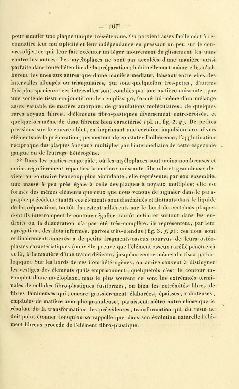 —-lor — pour simuler une plaque unique très-étendue. On parvient assez facilement à re- connaître leur multiplicité et leur indépendance en pressant un peu sur le cou- vre-objet, ce qui leur fait exécuter un léger mouvement de glissement les unes contre les autres. Les myéloplaxes ne sont pas accolées d'une manière aussi parfaite dans toute l'étendue de la préparation; habituellement même elles n'ad- hèrent les unes aux autres que d'une manière médiate, laissant entre elles des intervalles allongés ou triangulaires, qui sont quelquefois très-petits, d'autres fois plus spacieux; ces intervalles sont comblés par une matière unissante, par une sorte de tissu conjonctif ou de remplissage, formé lui-même d'un mélange assez variable de matière amorphe, de granulations moléculaires, de quelques rares noyaux libres, d'éléments fibro-pastiques diversement entre-croisés, et quelquefois même de tissu fibreux bien caractérisé (pi. ii, fig. 2, g). De petites pressions sur le couvre-objet, en imprimant une certaine impulsion aux divers éléments de la préparation , permettent de constater l'adhérence, l'agglutination réciproque des plaques ànoyaux multiples par l'intermédiaire de cette espèce de . gangue ou de feutrage hétérogène. 2° Dans les parties rouge pâle, où les myéloplaxes sont moins nombreuses et moins régulièrement réparties, la matière unissante fibroïde et granuleuse de- vient au contraire beaucoup plus abondante ; elle représente, par son ensemMe, une masse à peu près égale à celle des plaques à noyaux multiples; elle est formée des mêmes éléments que ceux que nous venons de signaler dans le para- graphe précédent; tantôt ces éléments sont disséminés et flottants dans le liquide de la préparation, tantôt ils restent adhérents sur le bord de certaines plaques dont ils interrompent le contour régulier, tantôt enfin, et surtout dans les en- droits où la dilacération n'a pas été très-complète, ils représentent, par leur agrégation, des ilôts informes, parfois très-étendus (fig. 3,/^ g) ; ces ilôts sont ordinairement annexés à de petits fragments osseux pourvus de leurs ostéo- plastes caractéristiques (nouvelle preuve que l'élément osseux raréfié pénètre çà et là, à la manière d'une trame délicate, jusqu'au centre même du tissu patho- logique). Sur les bords de ces ilôts hétérogènes, on arrive souvent à distinguer les vestiges des éléments qu'ils emprisonnent ; quelquefois c'est le contour in- complet d'une myéloplaxe, mais le plus souvent ce sont les extrémités termi- nales de cellules fibro-plastiques fusiformes, ou bien les extrémités libres de fibres lamineuses qui, encore grossièrement élaborées, épaisses, raboteuses , empâtées de matière amorphe granuleuse , paraissent n'être autre chose que le résultat de la transformation des précédentes, transformation qui du reste ne doit point étonner lorsqu'on se rappelle que dans son évolution naturelle l'élé- ment fibreux procède de l'élément fibro-plastique.