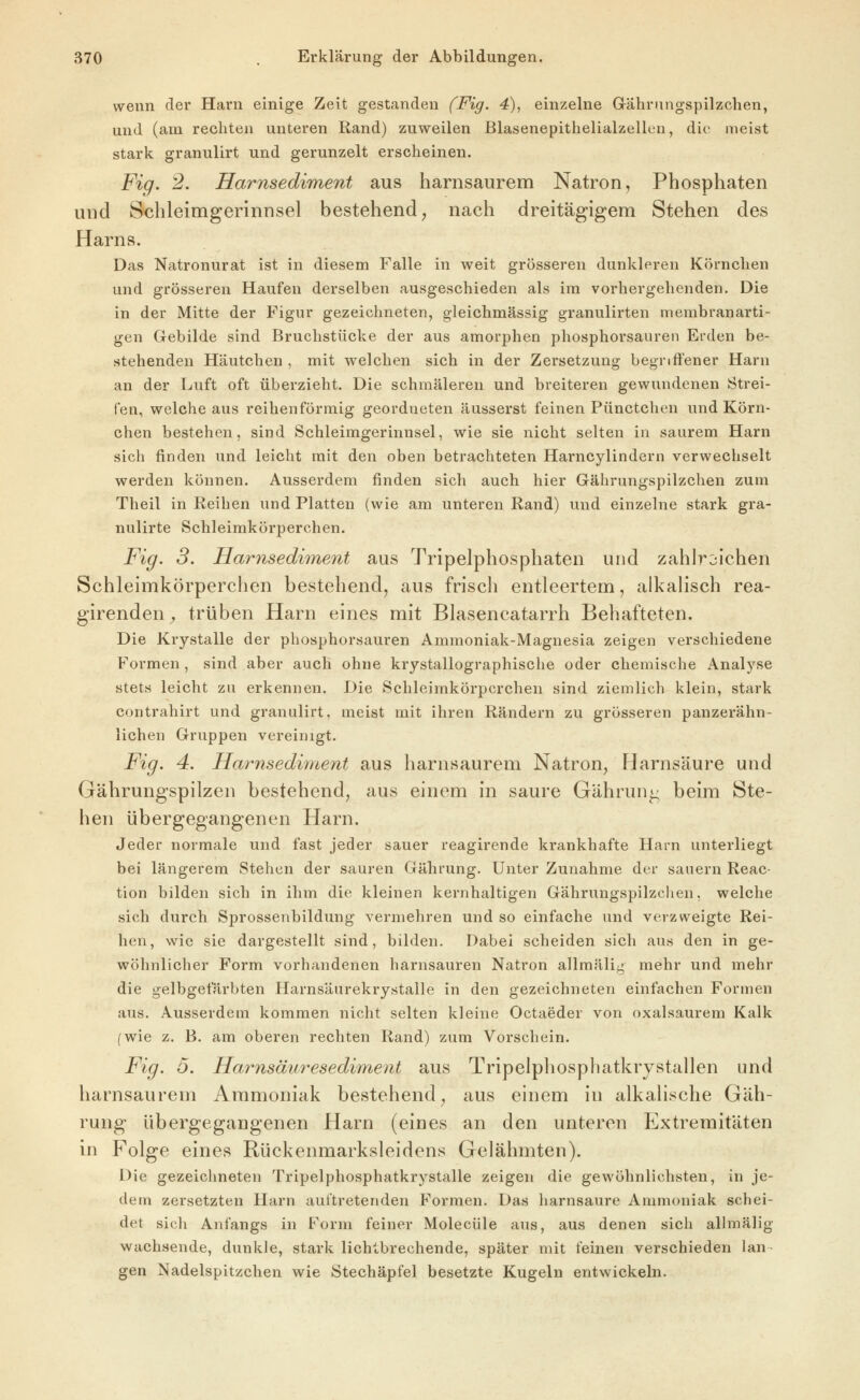 wenn der Harn einige Zeit gestanden (Fig. 4), einzelne G-ährnngspilzchen, und (am rechten unteren Rand) zuweilen ßlasenepithelialzellen, die meist stark granulirt und gerunzelt erscheinen. Fig. 2. Harnsediment aus harnsaurem Natron, Phosphaten und Schleimgerinnsel bestehend ^ nach dreitägigem Stehen des Harns. Das Natronurat ist in diesem Falle in weit grösseren dunkleren Körnchen und grösseren Haufen derselben ausgeschieden als im vorhergehenden. Die in der Mitte der Figur gezeichneten, gleichmässig granulirten membranarti- gen Gebilde sind Bruchstücke der aus amorphen phosphorsauren Erden be- stehenden Häutchen , mit welchen sich in der Zersetzung begriffener Harn an der Luft oft überzieht. Die schmäleren und breiteren gewundenen Strei- ten, welche aus reihenförraig geordneten äusserst feinen Pünctchen und Körn- chen bestehen, sind Schleimgerinnsel, wie sie nicht selten in saurem Harn sich finden und leicht mit den oben betrachteten Harncylindern verwechselt werden können. Ausserdem finden sich auch hier Gährungspilzchen zum Theil in Reihen und Platten (wie am unteren Rand) und einzelne stark gra- nulirte Schleimkörperchen. Fig. 3. Harnsediment aus Tripelphosphaten und zahlreichen Schleimkörperchen bestehend, aus frisch entleertem, alkaHsch rea- girendeU;, trüben Harn eines mit Blasencatarrh Behafteten. Die Krystalle der phosphorsauren Ammoniak-Magnesia zeigen verschiedene Formen, sind aber auch ohne krystallographische oder chemische Analyse stets leicht zu erkennen. Die Schleimkörperchen sind ziemlich klein, stark contrahirt und granulirt, meist mit ihren Rändern zu grösseren panzerähn- lichen Gruppen vereinigt. Fig. 4. Harnsediment aus harnsaurem Natron, Harnsäure und Gährungspilzen bestehend, aus einem in saure Gährun^ beim Ste- hen übergegangenen Harn. Jeder normale und fast jeder sauer reagirende krankhafte Harn unterliegt bei längerem Stehen der sauren Gähi'ung. Unter Zunahme der sauern Reac- tion bilden sich in ihm die kleinen kernhaltigen Gährungspilzchen, welche sich durch Sprossenbildung vermehren und so einfache und verzweigte Rei- hen, wie sie dargestellt sind, bilden. Dabei scheiden sich aus den in ge- wöhnlicher Form vorhandenen harnsauren Natron allmälig mehr und mehr die gelbgefärbten Harnsäurekrystalle in den gezeichneten einfachen Formen aus. Ausserdem kommen nicht selten kleine Octaeder von oxalsaurem Kalk (wie z. B. am oberen rechten Rand) zum Vorschein. Fig. 5. Harnsänresedim,ent aus Tripelphosphatkrystallen und harnsaurem Ammoniak bestehend, aus einem in alkalische Gäh- rung übergegangenen Harn (eines an den unteren Extremitäten in Folge eines Rückenmarksleidens Gelähmten). Die gezeichneten Tripelphosphatkrystalle zeigen die gewöhnlichsten, in je- dem zersetzten Harn auftretenden Formen. Das harnsaure Ammoniak schei- det sich Anfangs in Form feiner Molecüle aus, aus denen sich alhnälig wachsende, dunkle, stark lichlbrechende, später mit feinen verschieden lan- gen Nadelspitzchen wie Stechäpfel besetzte Kugeln entwickeln.