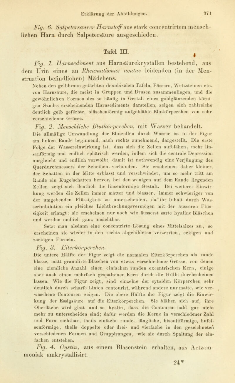 Fig. 6. Salpetersaurer Harnstoff a\\^ ^i2iYk conccntrirtem mensch- lichen Harn durch Salpetersäure ausgeschieden. Tafel m. ^ Fig. 1. Harnsediment aus Harnsäurekrystallen bestehend, aus dem Urin eines an Rheumatismus acutus leidenden (in der Men- struation befindlichen) Mädchens. Neben den gelbbraun gefärbten rhombischen Tafeln, Fässern, Wetzsteinen etc. von Harnsäure, die meist in Gruppen und Drusen zusammenliegen, und die gewöhnlichen Formen des so häufig in Grestalt eines goldglänzenden körni- gen Sandes erscheinenden Harnsediments darstellen, zeigen sich zahlreiche deutlich gelb gefärbte, bläschenförmig aufgeblähte Blutkörperchen von sehr verschiedener Grösse. Fig. 2. Menschliche Blutkörpercheii, mit Wasser behandelt. Die allmälige Umwandlung der Blutzellen durch Wasser ist in dtr Figur am linken Rande beginnend, nach rechts zunehmend, dargestellt. Die erste Folge der Wassereinwirkung ist, dass sich die Zellen aufblähen, mehr lin- senförmig und endlich sphärisch werden, indem sich die centrale Depression ausgleicht und endlich vorwölbt, damit ist nothwendig eine Verjüngung des Querdurchmessers der Scheiben - verbunden. Sie erscheinen daher kleiner, der Schatten in der Mitte erblasst und verschwindet, um so mehr tritt am Rande ein Kugelschatten hervor, bei den wenigen auf dem Rande liegenden Zellen zeigt sich deutlich die linsenförmige Gestalt. Bei weiterer Einwir- kung werden die Zellen immer matter und blasser, immer schwieriger von der umgebenden Flüssigkeit zu unterscheiden, da * ihr Inhalt durch Was- serimbibition ein gleiches Lichtbrechungsvermögen mit der äusseren Flüs- sigkeit erlangt: sie erscheinen nur noch wie äusserst zarte hyaline Bläschen und werden endlich ganz unsichtbar. Setzt man alsdann eine concentrirte Lösung eines Mittelsalzes zu, so erscheinen sie wieder in den rechts abgebildeten verzerrten, eckigen und zackigen Formen. Fig. 3. Eiterkörperchen. Die untere Hälfte der Figur zeigt die normalen Eiterkörperchen als runde blasse, matt granulirte Bläschen von etwas verschiedener Grösse, von denen eine ziemliche Anzahl einen einfachen runden excentrischen Kern, einige aber auch einen mehrfach gespaltenen Kern durch die Hülle durchscheinen lassen. Wie die Figur zeigt, sind einzelne der cytoidcn Körperchen sehr deutlich durch scharfe Linien contourirt, während andere nur matte, wie ver- waschene Contouren zeigen. Die obere Hälfte der Figur zeigt die Einwir- kung der Essigsäure auf die Eiterkörperchen. Sie blähen sich auf, ihre Oberfläche wird glatt und so hyalin, dass die Contouren bald gar nicht mehr zu unterscheiden sind; dafür werden die Kerne in verschiedener Zahl und Form sichtbar, theils einfache runde, längliche, biscuitförmige, hufei- senförmige, theils doppelte oder drei- und vierfache in den gezeichneten verschiedenen Formen und Gruppirungen, wie sie durch Spaltung der ein- fachen entstehen. Fig. 4. G^jstin, aus einem Blasenstein erhalten, aus Aetzara- moniak umkrystallisirt. 24*