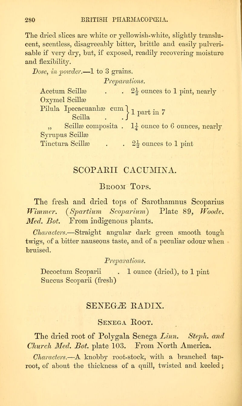 Tlie dried slices are white or yellowisli-wliite, slightly translu- cent, scentless, disagreeably bitter, brittle and easily pulveri- sable if very dry, but, if exposed, readily recovering moisture and flexibility. Dose, in j)oivder.—1 to 3 grains. Prejjarations. Acetum Scillse . . 2^ ounces to 1 pint, nearly Oxymel Scillee Pilula Ipecacuanbce cum) -. . ,_ Scilla . . J ,, Scillse composita . 1^ ounce to 6 ounces, nearly Syrupus Scilla Tinctura Scilla3 . . 2^ ounces to 1 ^^int SCOPAEII CACUMINA. Bkoom Tops. The fresh and dried tops of Sarothamnus Scoparius Wiinmer. (^Sjjartium Scopaimim^ Plate 89, Woodv. Med. Bot. From indigenous plants. CJiaraders.—Straight angular dark green smooth tough twigs, of a bitter nauseous taste, and of a peculiar odour when bruised. Pre^oarations. Decoctum Scoparii . 1 ounce (dried), to 1 pint Succus Scoparii (fresh) SENEGA EADIX. Senega Eoot. The dried root of Polygala Senega Liiui. Stejjh. and Church Med. Bot. plate 103. From North America. Characters.—^A knobby root-stock, with a branched tap- root, of about the thickness of a quill, twisted and keeled;