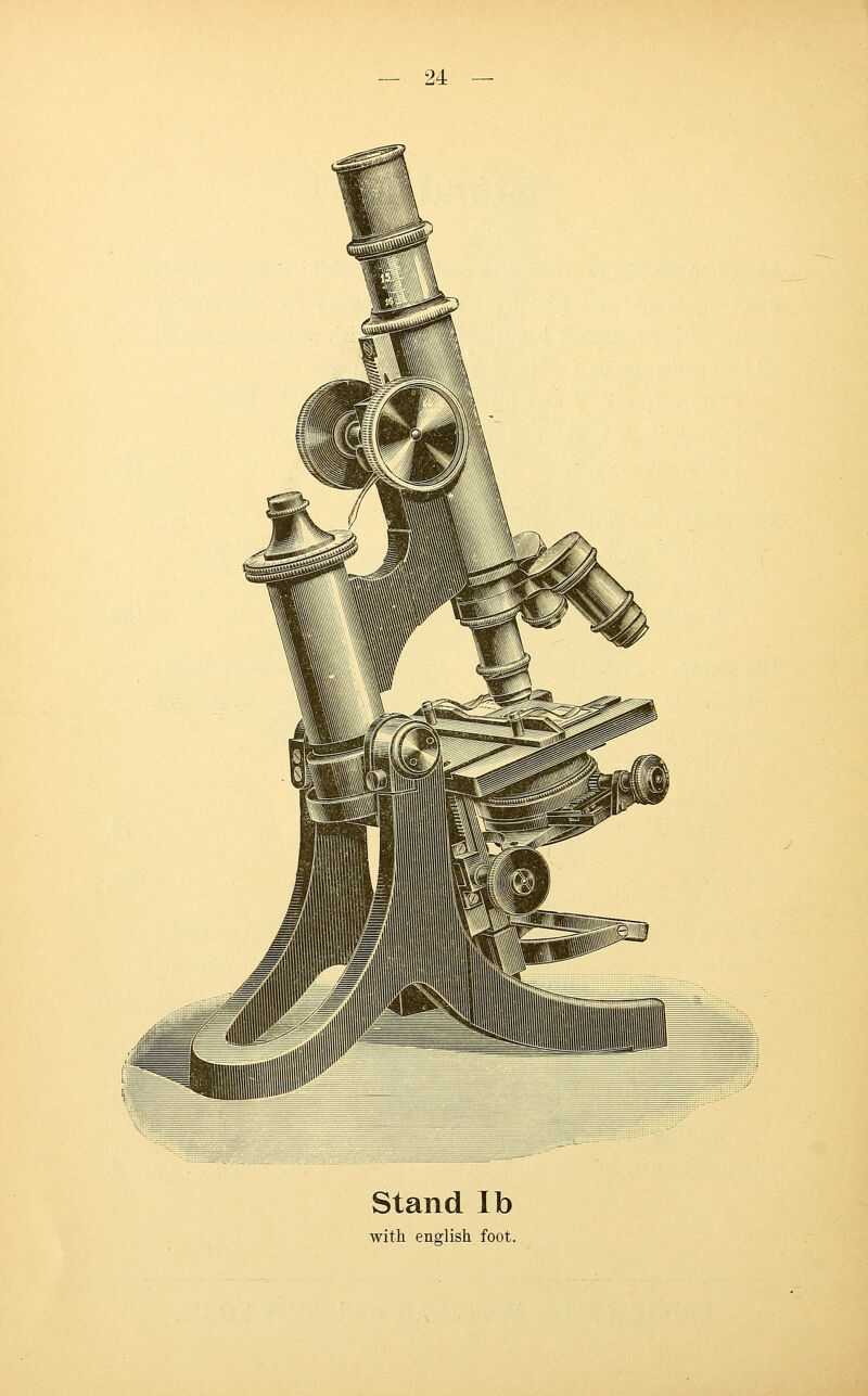 Stand lb with ens:lish foot.