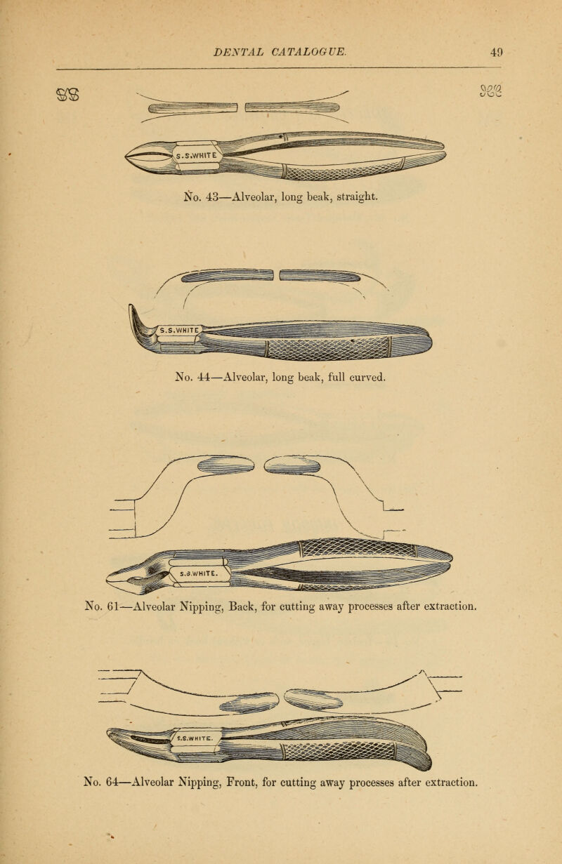 No. 43—Alveolar, long beak, straight. No. 44—Alveolar, long beak, full curved. No. 61-—Alveolar Nipping, Back, for cutting away processes after extraction. No. 64—Alveolar Nipping, Front, for cutting away processes after extraction.