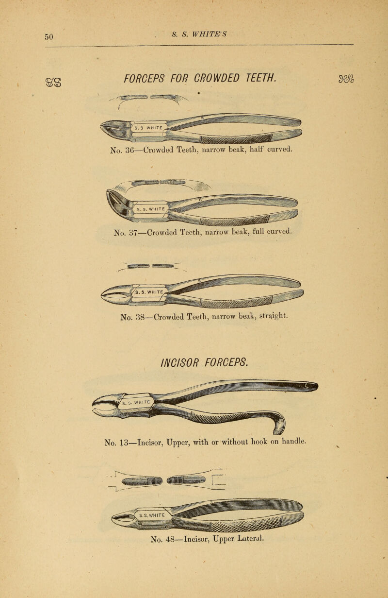 FORCEPS FOR CROWDED TEETH. No. 36—Crowded Teeth, narrow beak, half curved. No. 87—Crowded Teeth, narrow beak, full curved. No. 38—Crowded Teeth, narrow beak, straight. INCISOR FORCEPS. No. 13—Incisor, Upper, with or without hook on handle. m> No. 48—Incisor, Upper Lateral.