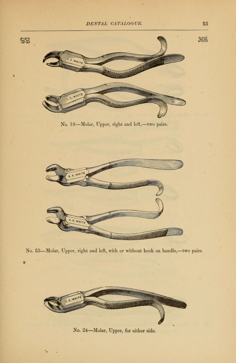 m No. 19—Molar, Upper, right and left,—two pairs. m No. 53—Molar, Upper, right and left, with or without hook on handle,—two pairs.