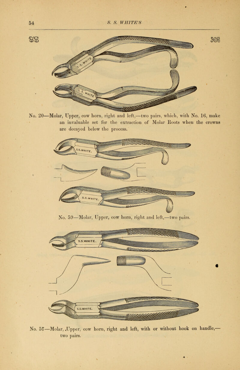No. 20—Molar, Upper, cow horn, right and left,—two pairs, which, with No. 16, make an invaluable set for the extraction of Molar Roots when the crowns are decayed below the process. No. 59—Molar, Upper, cow horn, right and left,—two pairs. No. 57—Molar, .Upper, cow horn, right and left, with or without hook on handle,- two pairs.