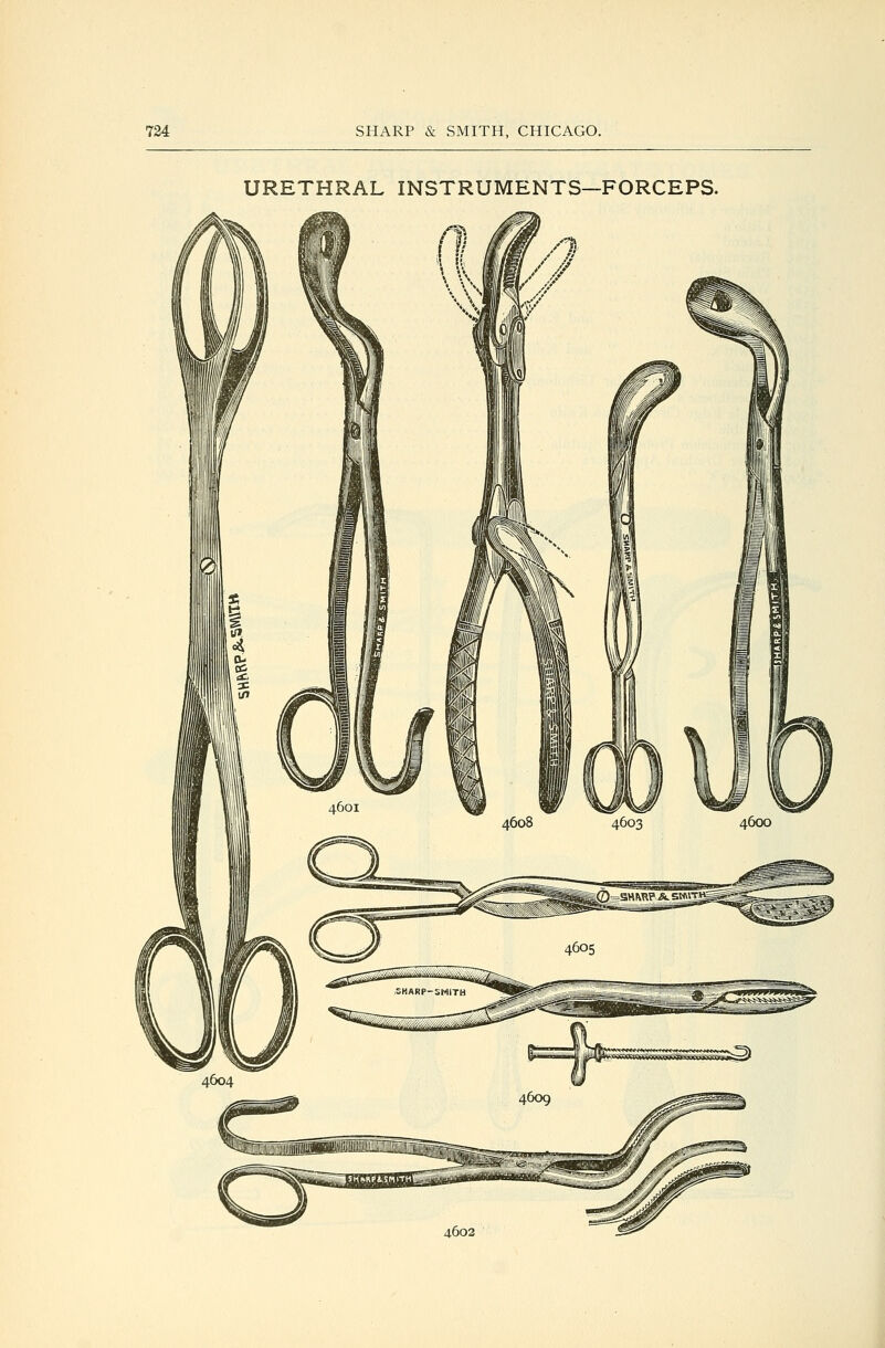 URETHRAL INSTRUMENTS—FORCEPS. 4602