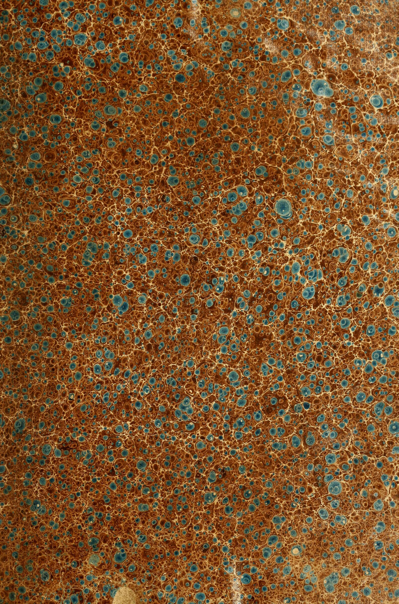 ^'.^' (T/^ :^''- .y :^ ^-t K ri»; -'--i. a-y !nS« ^d'sê^j^iÉmn^iSa^R