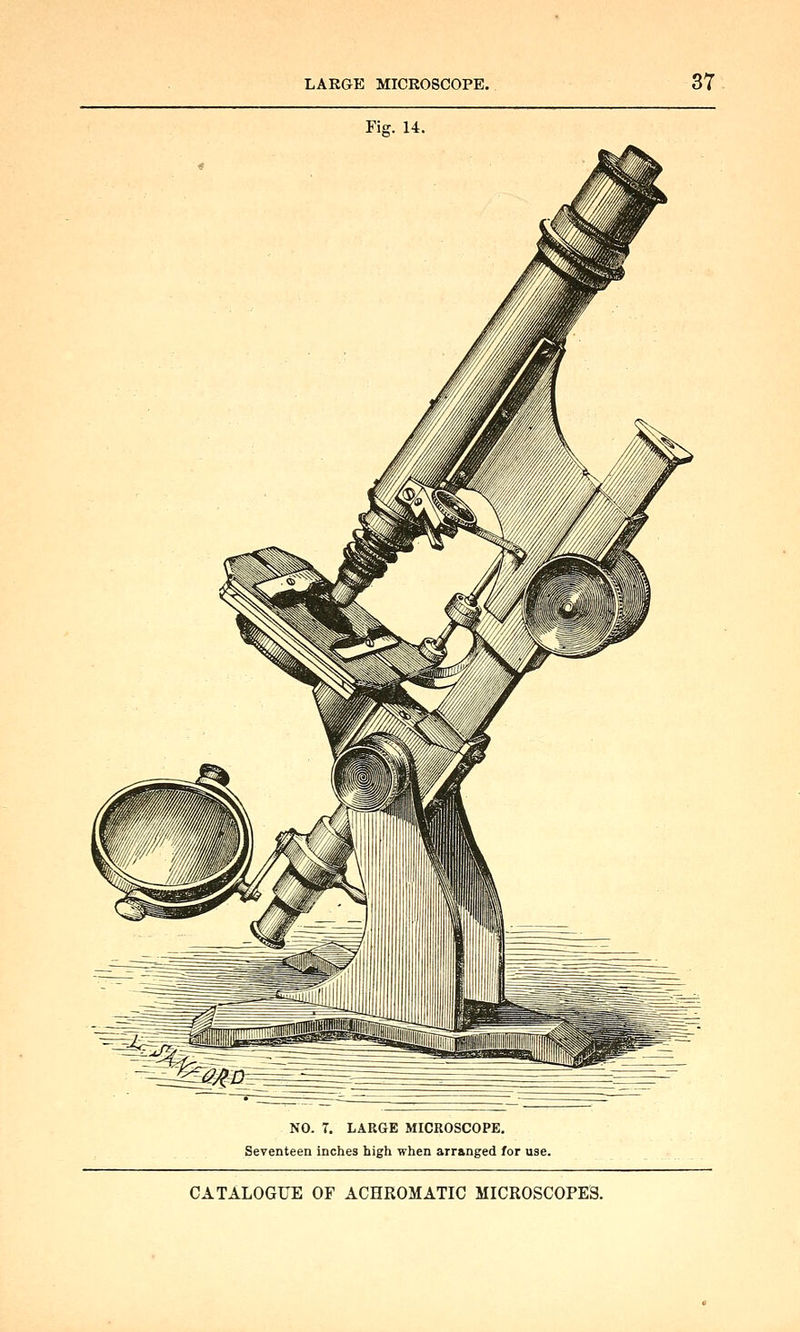 Fig. 14. NO. r. LARGE MICROSCOPE. Seventeen inches high when arranged for use.