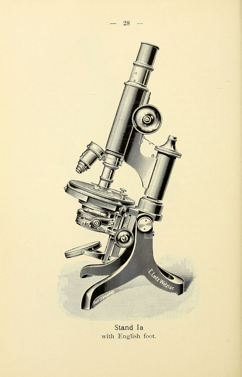 Stand la with English foot.