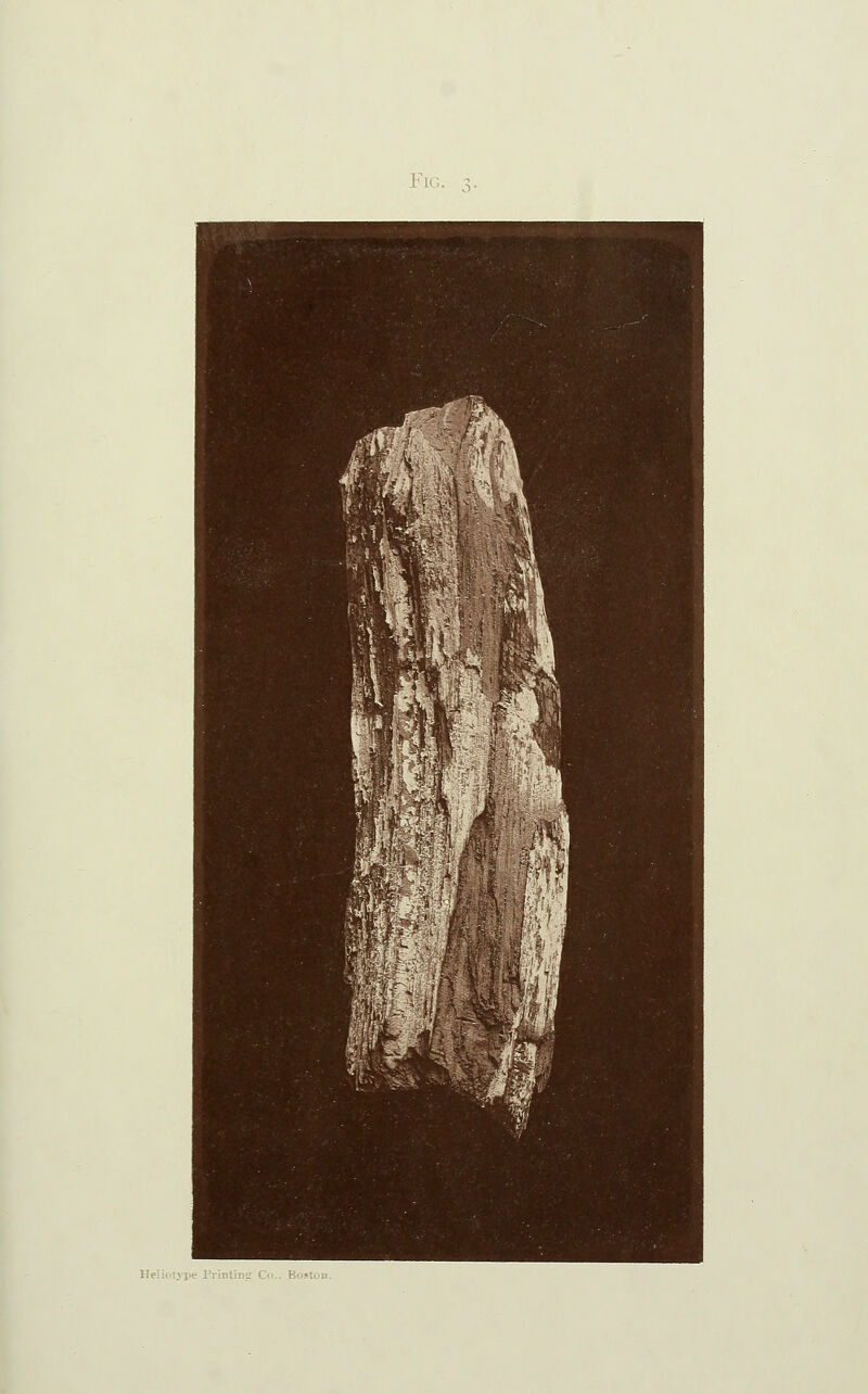 Fig. 3. Heli<ilyi>e rrintinsr Co.. Boston.