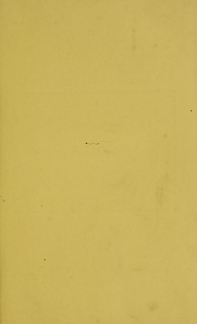 digitised image 3
