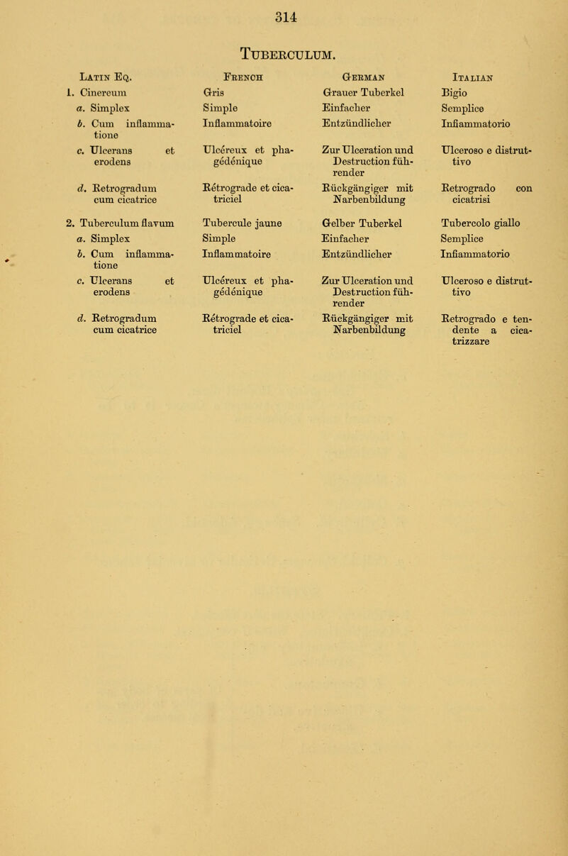 TUBERCULUM. Latin Eq. French German Italian 1. Cinei'eum Gris Grauer Tubcrkel Bigio a. Simplex b. Cum inflamma- tione Simple Inflammatoire Einfaclicr Entziindlicher Semplice Infiammatorio c, Ulcerans et erodens Ulcereux et pha- gedenique Zur Ulceration und Destruction fiili- render Ulceroso e distrut- tivo d. Ketrogradum cum cicatrice Retrograde et cica- triciel Eiickgangiger mit Narbenbildung Retrograde con cicatrisi 2. Tuberculum flavum Tubercule jaune Gelber Tuberkel Tubercolo giallo a. Simplex b. Cum inflamma- tione Simple Inflammatoire Einfaclier Entziindliclier Semplice Infiammatorio c. Ulcerans et erodens TJlcereux et plia- gedenique Zur Ulceration und Destruction f iih- render Ulceroso e distrut- tiro d. Eetrogradum cum cicatrice Retrograde et cica- triciel Riickgangiger mit Narbenbildung Retrograde e ten- dente a cica- trizzare